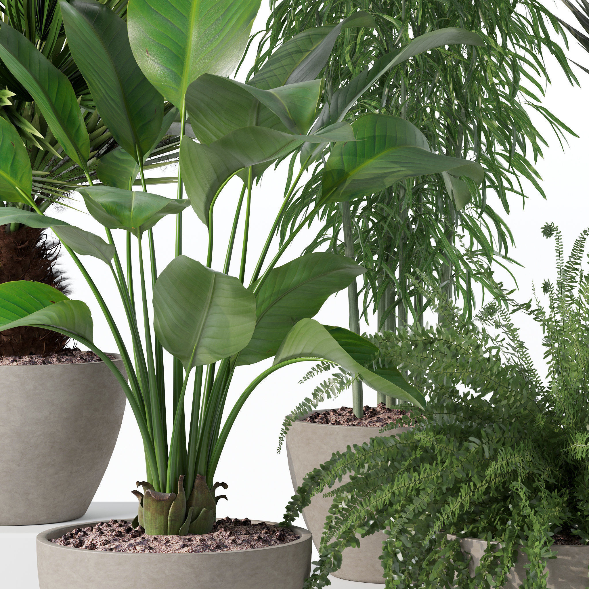 20 Photorealistic Flowers for Interiors - set 119 126 132 139 3D Model Collection_20