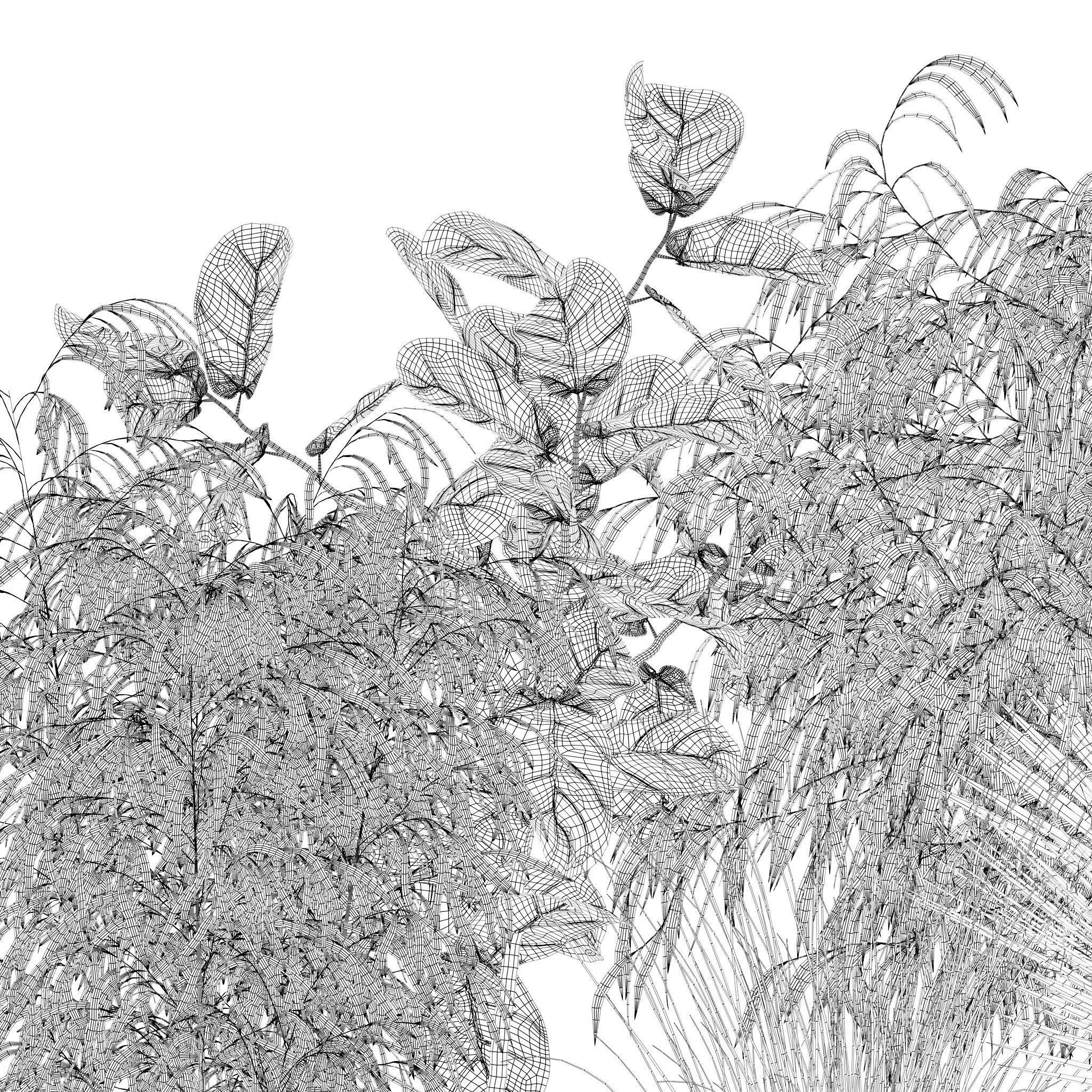 20 Photorealistic Flowers for Interiors - set 119 127 134 142 3D Model Collection_40