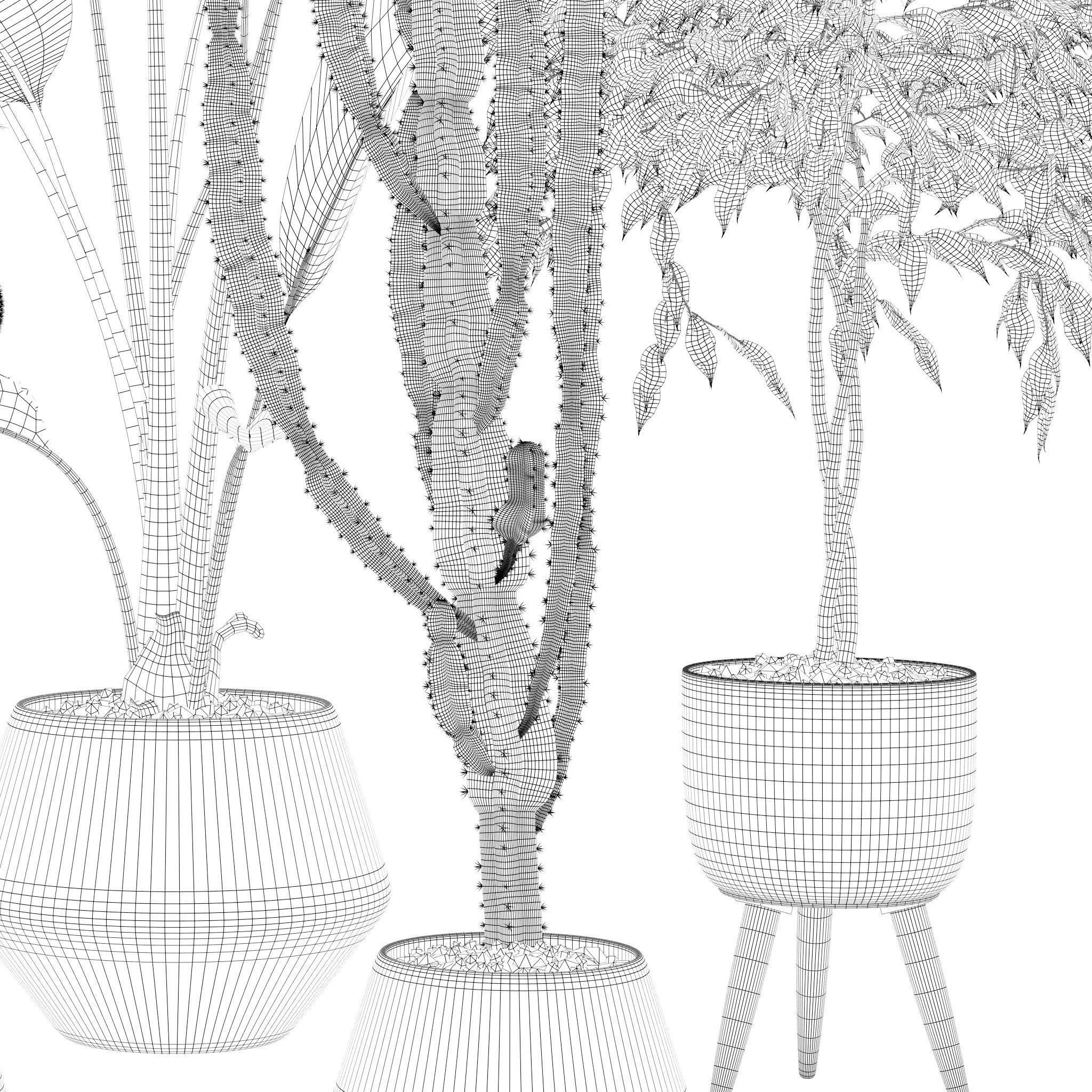 20 Photorealistic Flowers for Interiors - set 119 127 134 142 3D Model Collection_9
