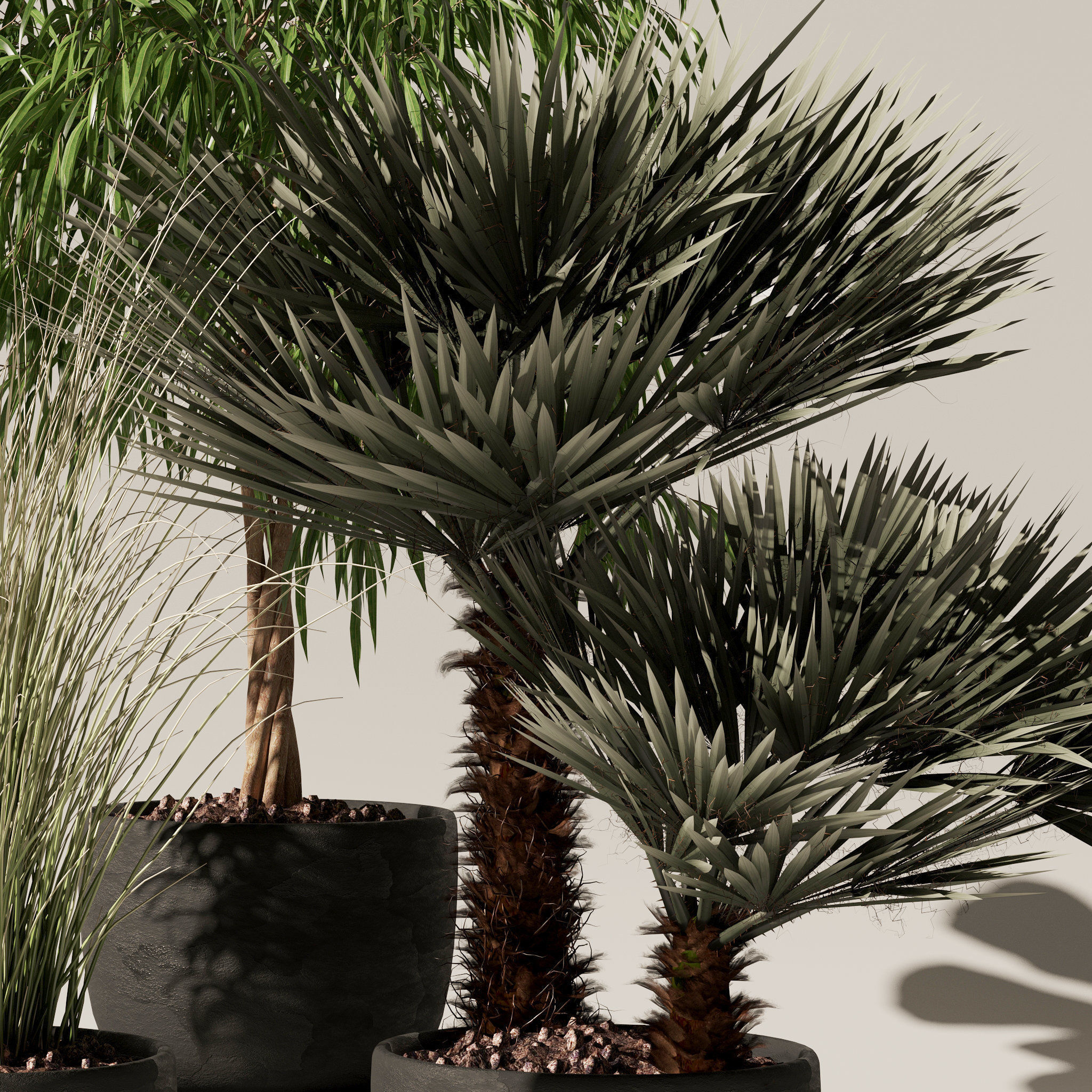 20 Photorealistic Flowers for Interiors - set 119 127 134 142 3D Model Collection_45