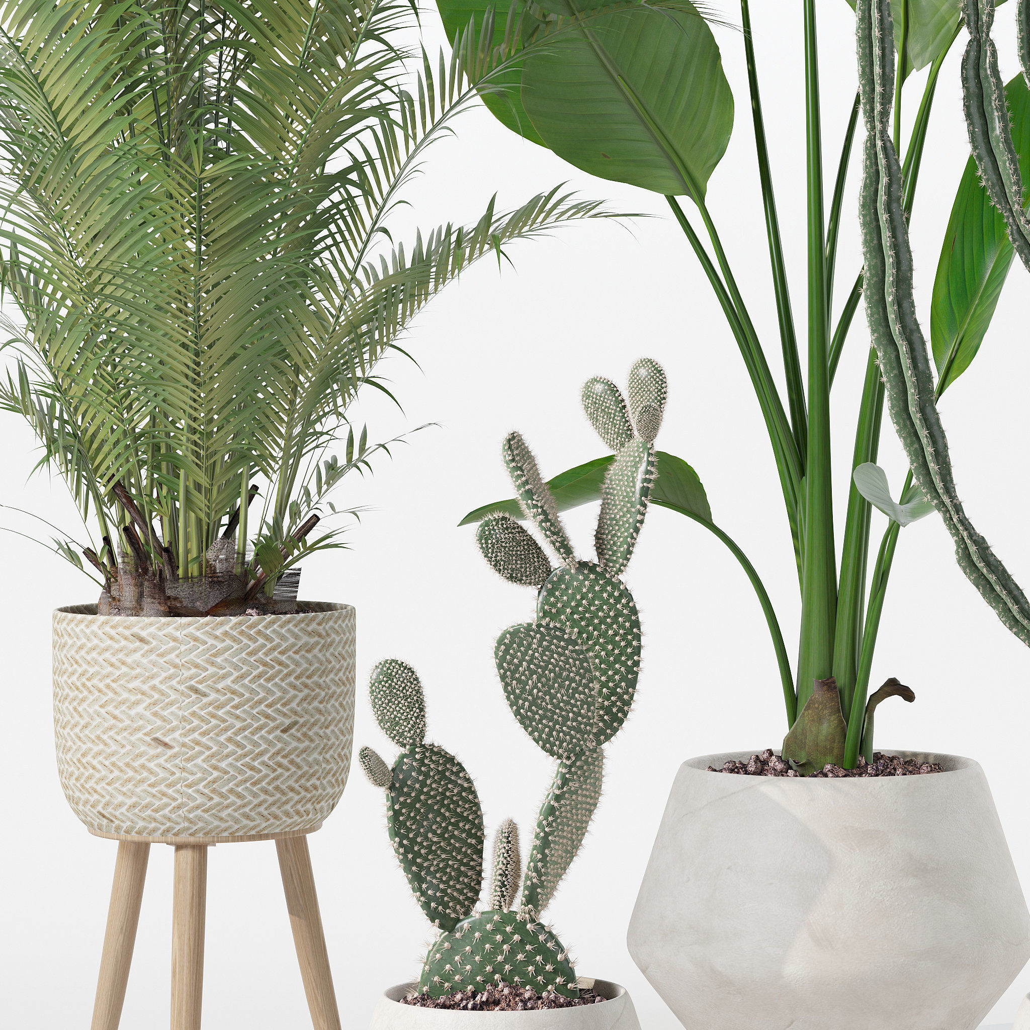 20 Photorealistic Flowers for Interiors - set 119 127 134 142 3D Model Collection_10