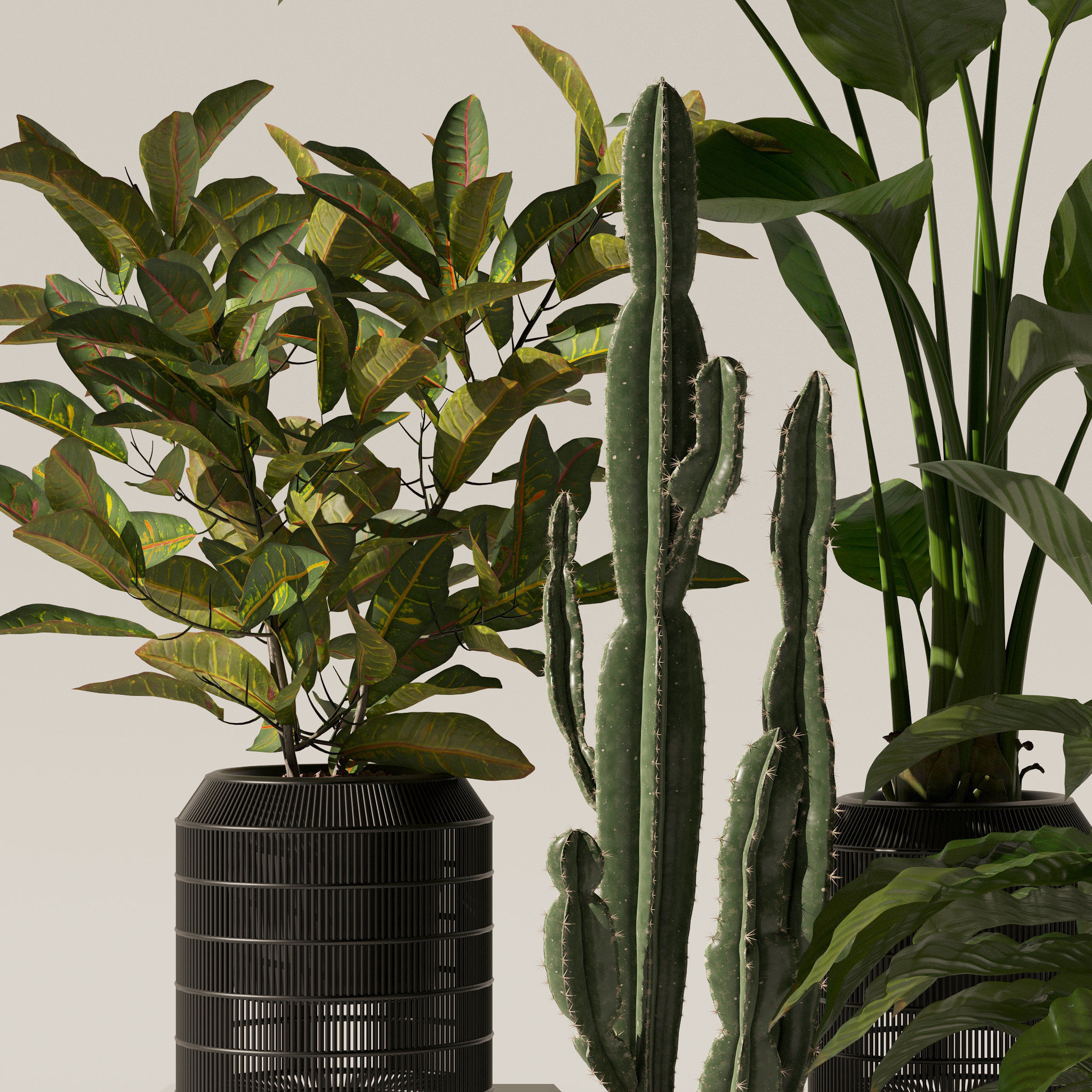 20 Photorealistic Flowers for Interiors - set 119 127 134 142 3D Model Collection_33