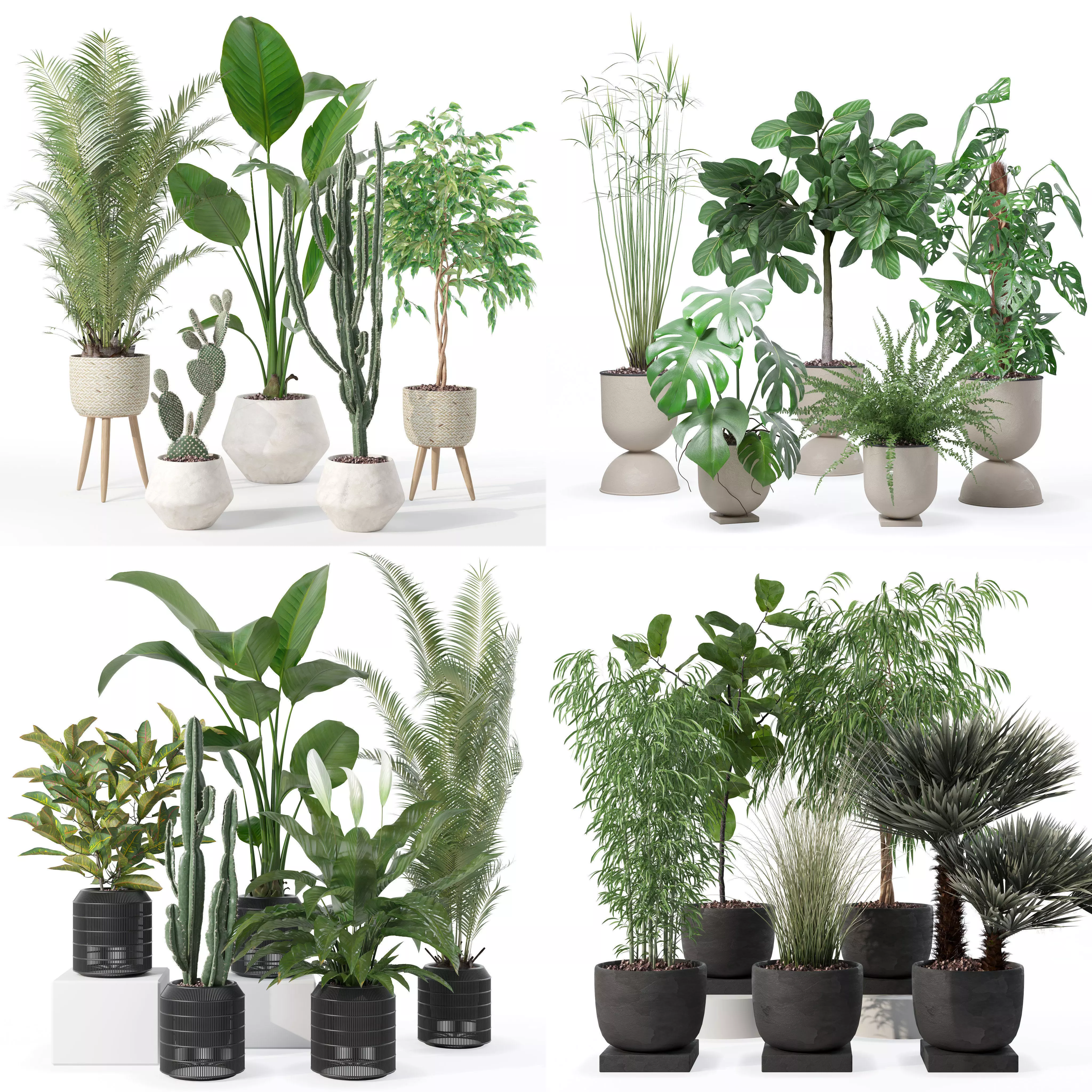 20 Photorealistic Flowers for Interiors - set 119 127 134 142 3D Model Collection_0