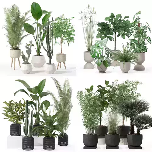 20 Photorealistic Flowers for Interiors - set 119 127 134 142 3D Model Collection