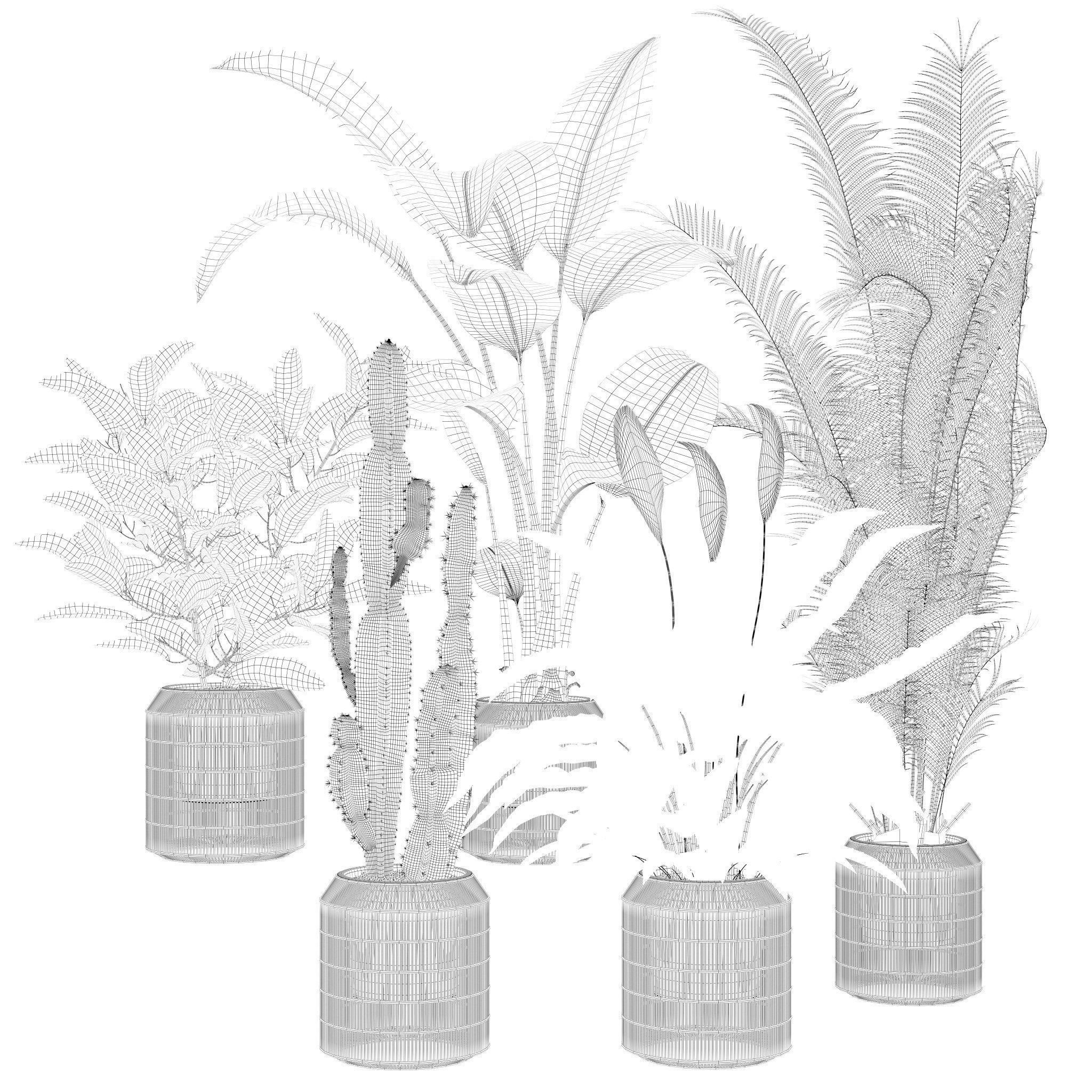 20 Photorealistic Flowers for Interiors - set 119 127 134 142 3D Model Collection_32