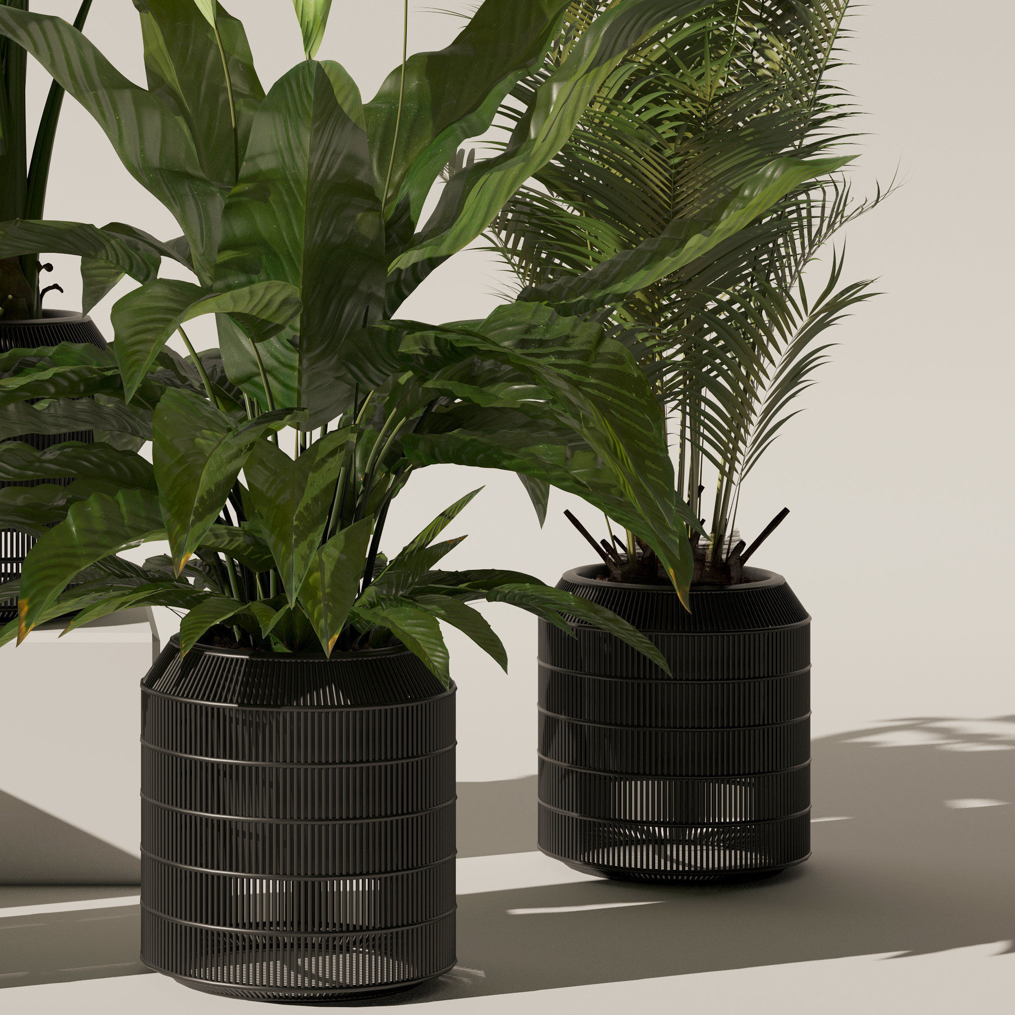 20 Photorealistic Flowers for Interiors - set 119 127 134 142 3D Model Collection_26