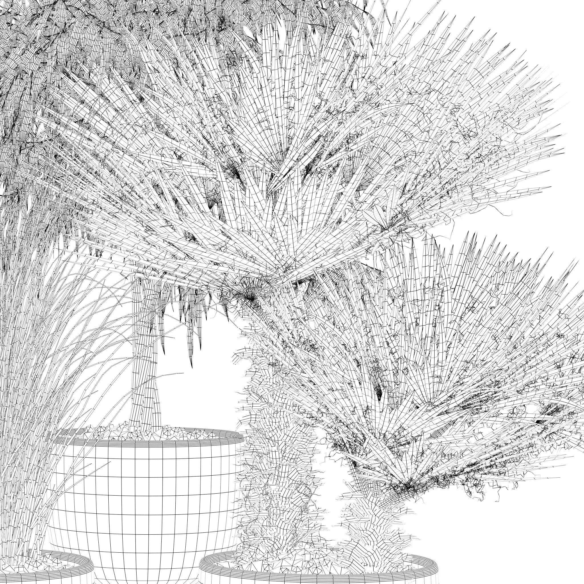 20 Photorealistic Flowers for Interiors - set 119 127 134 142 3D Model Collection_41