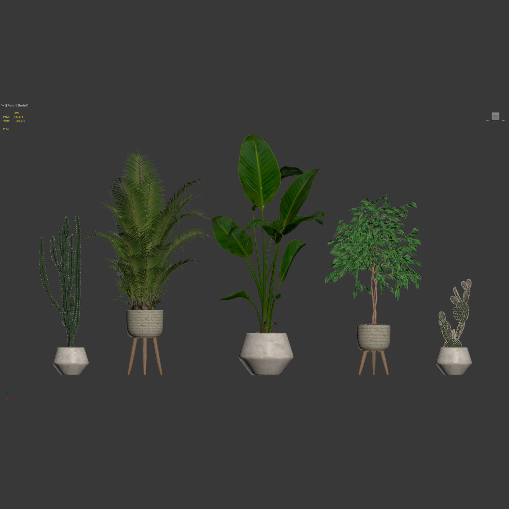 20 Photorealistic Flowers for Interiors - set 119 127 134 142 3D Model Collection_5