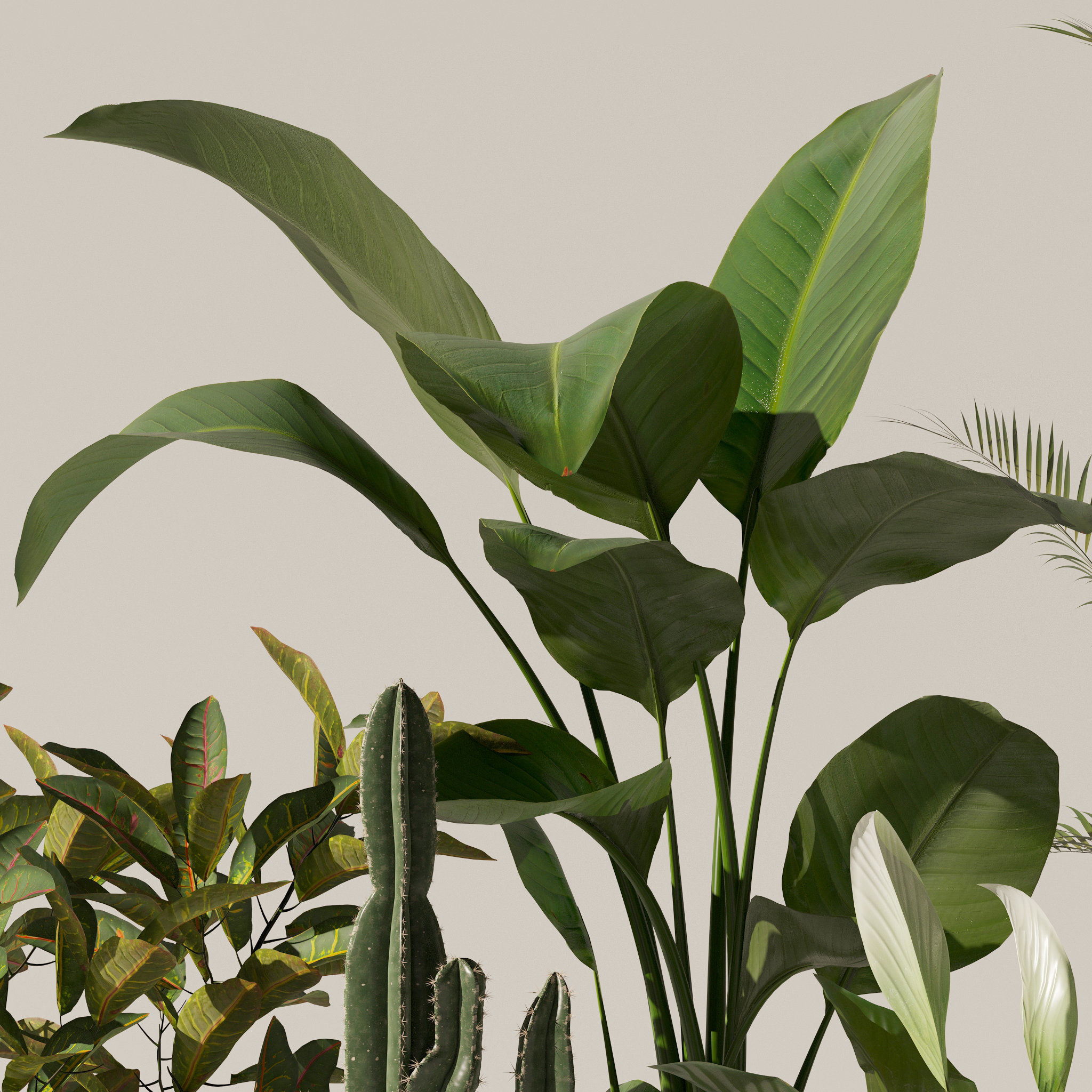 20 Photorealistic Flowers for Interiors - set 119 127 134 142 3D Model Collection_22