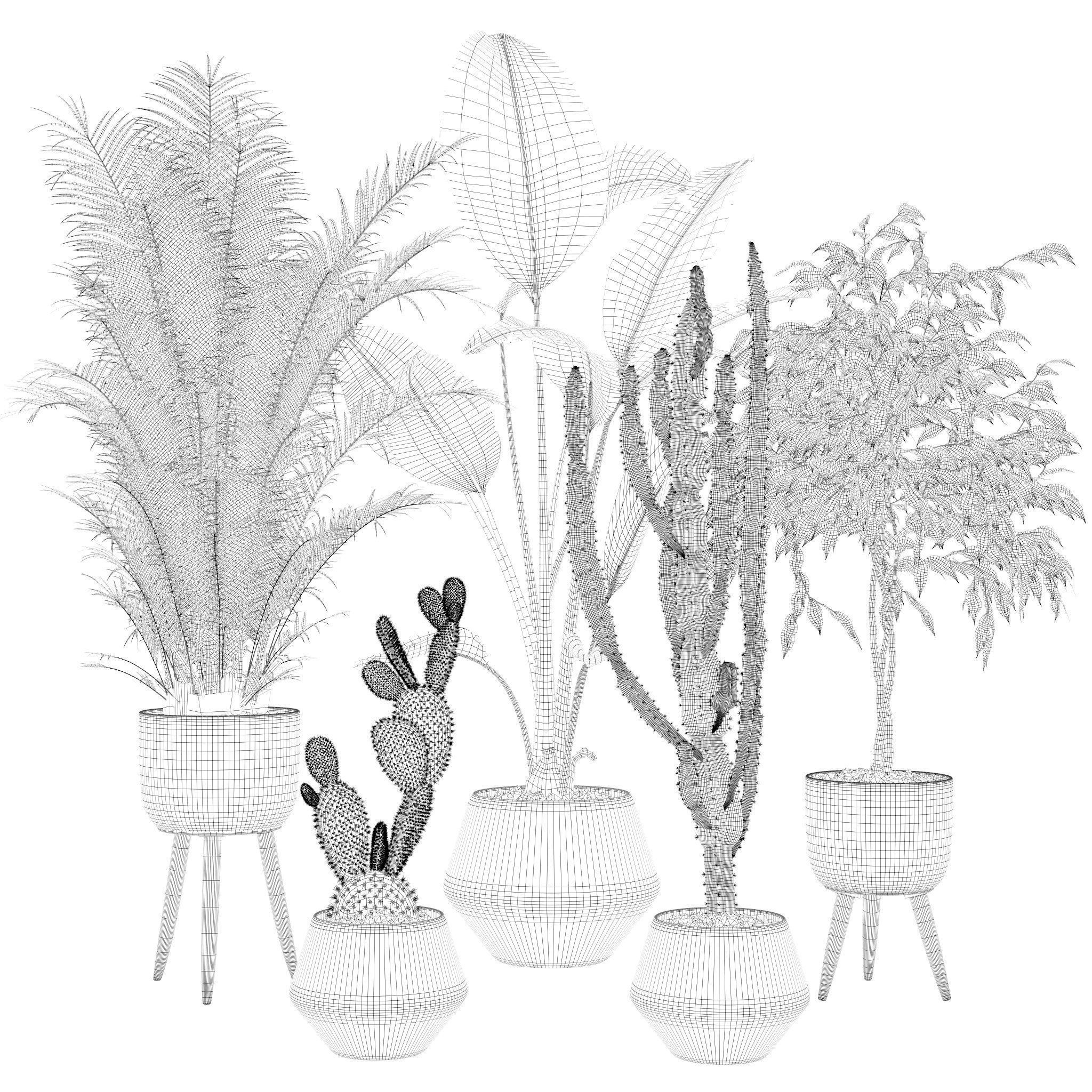 20 Photorealistic Flowers for Interiors - set 119 127 134 142 3D Model Collection_6