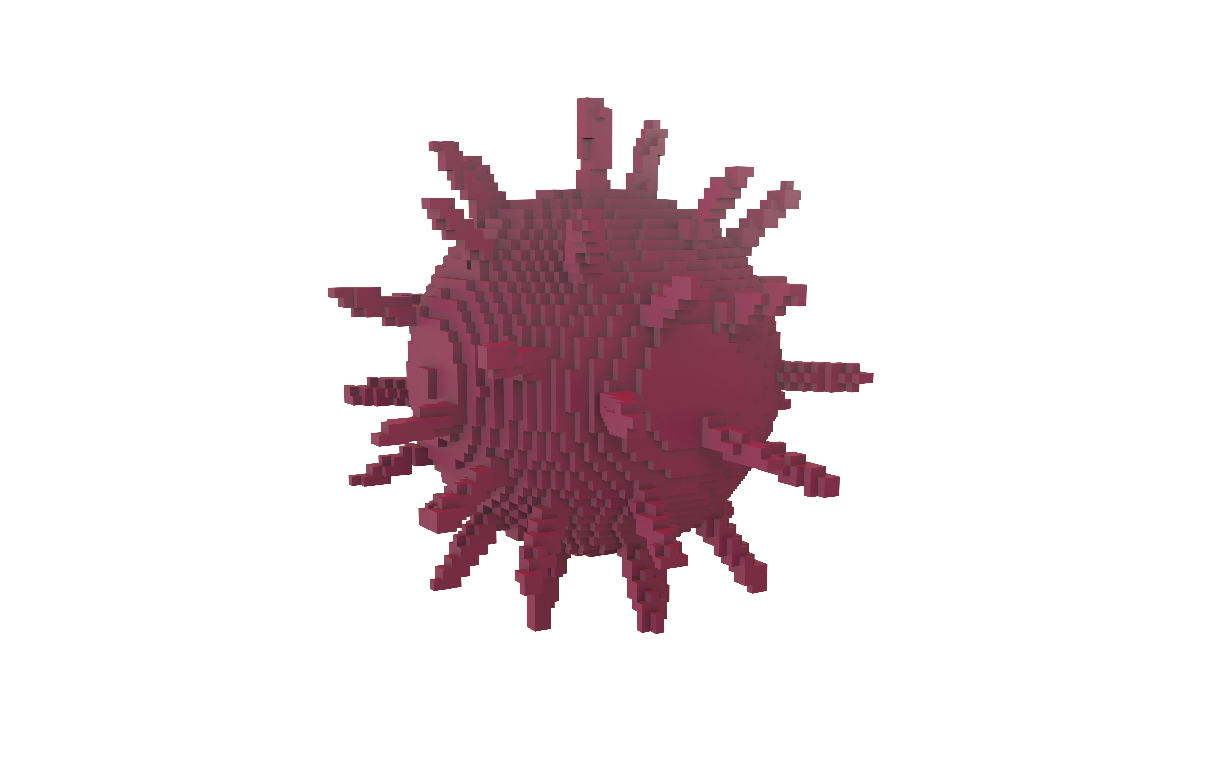 Voxel Virus v2 003 Low-poly 3D model_1