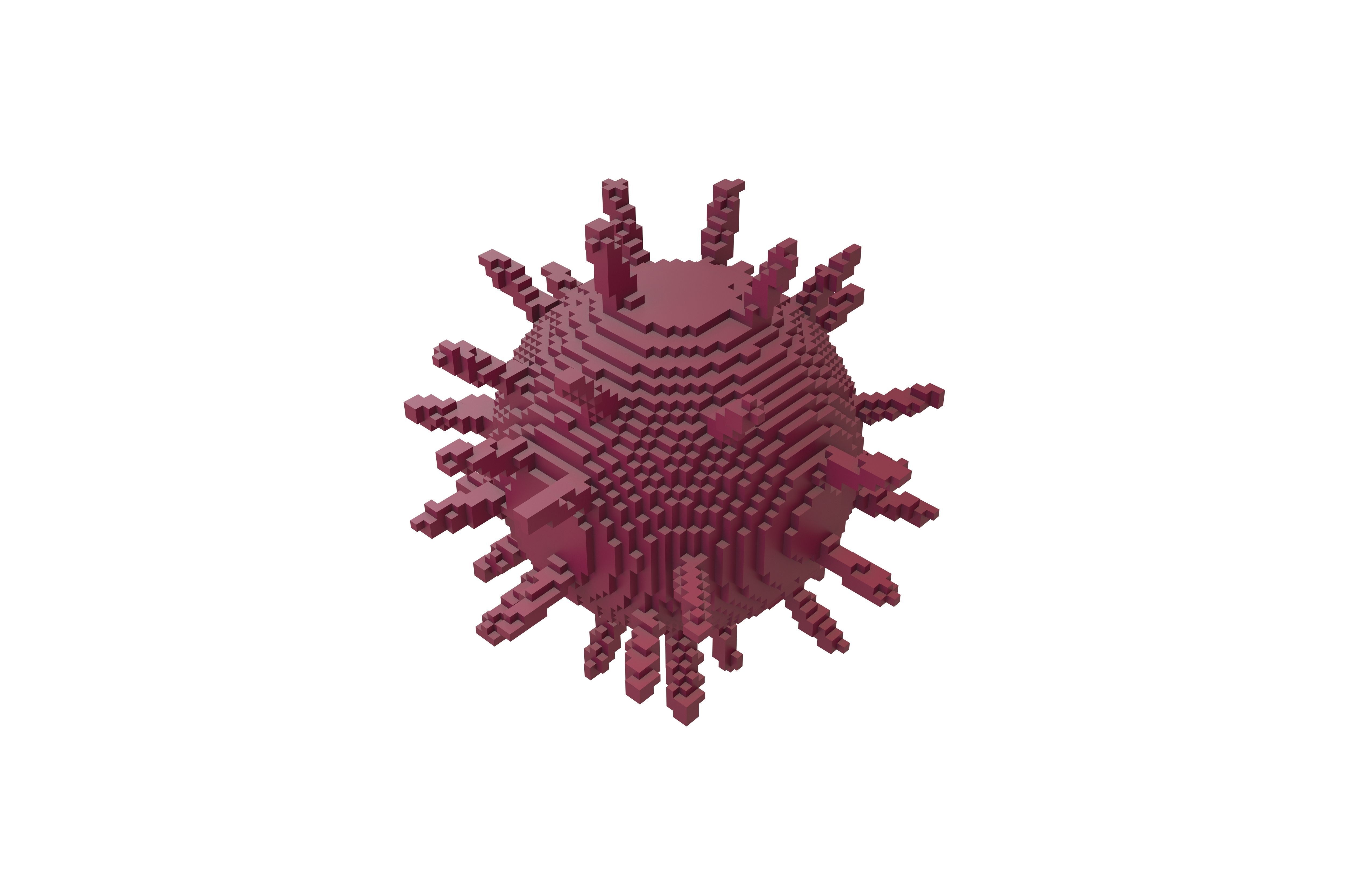 Voxel Virus v2 003 Low-poly 3D model_3