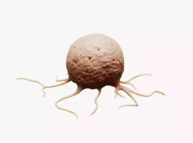 Cancer Cell