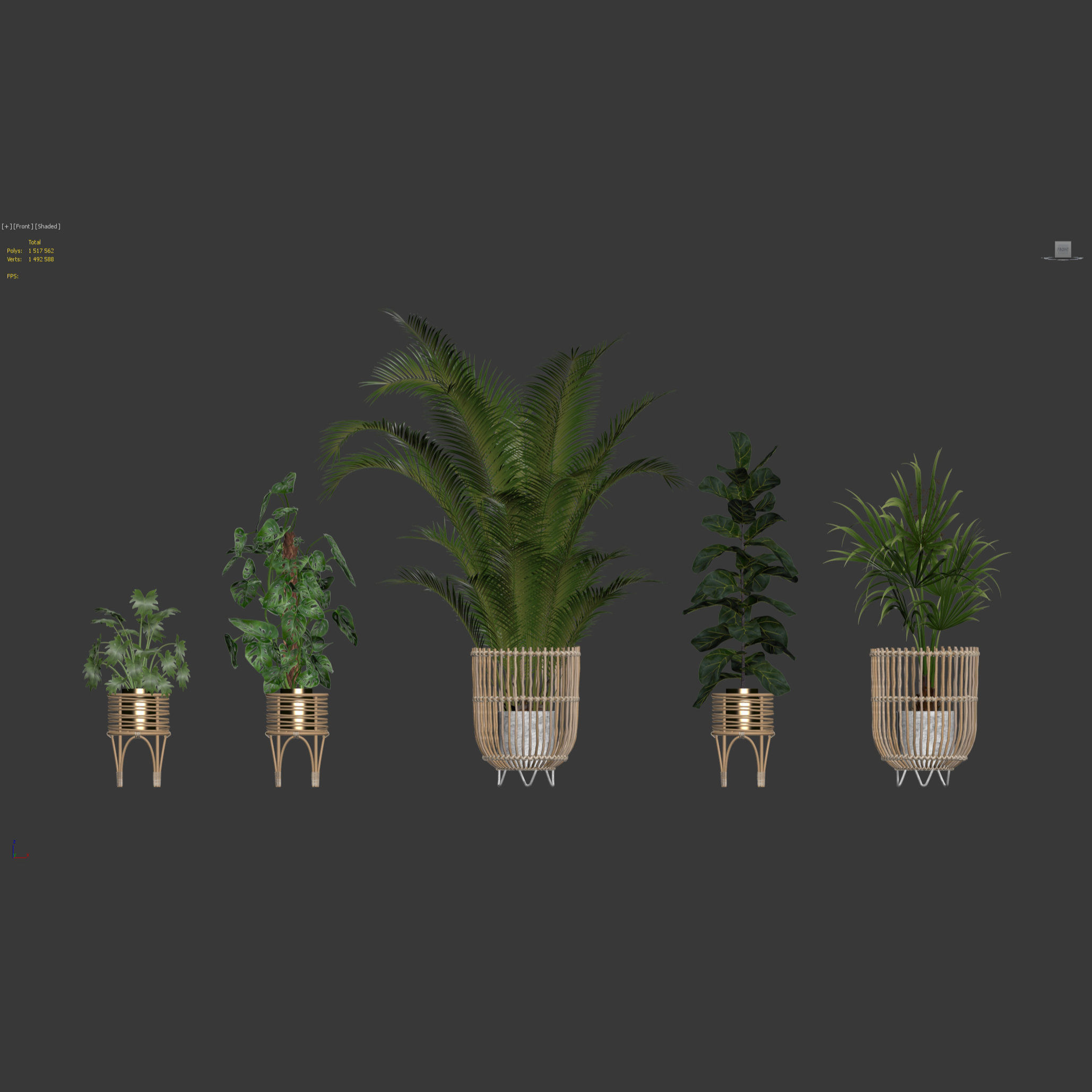 20 Photorealistic Flowers for Interiors - set 120 123 136 140 3D Model Collection_20