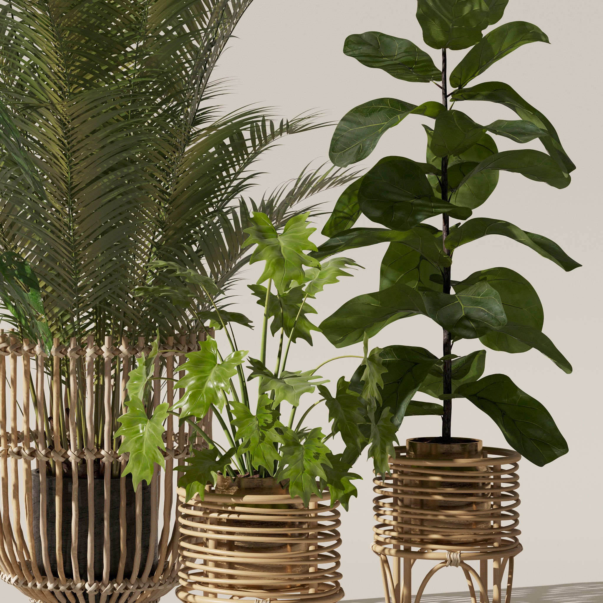 20 Photorealistic Flowers for Interiors - set 120 123 136 140 3D Model Collection_26