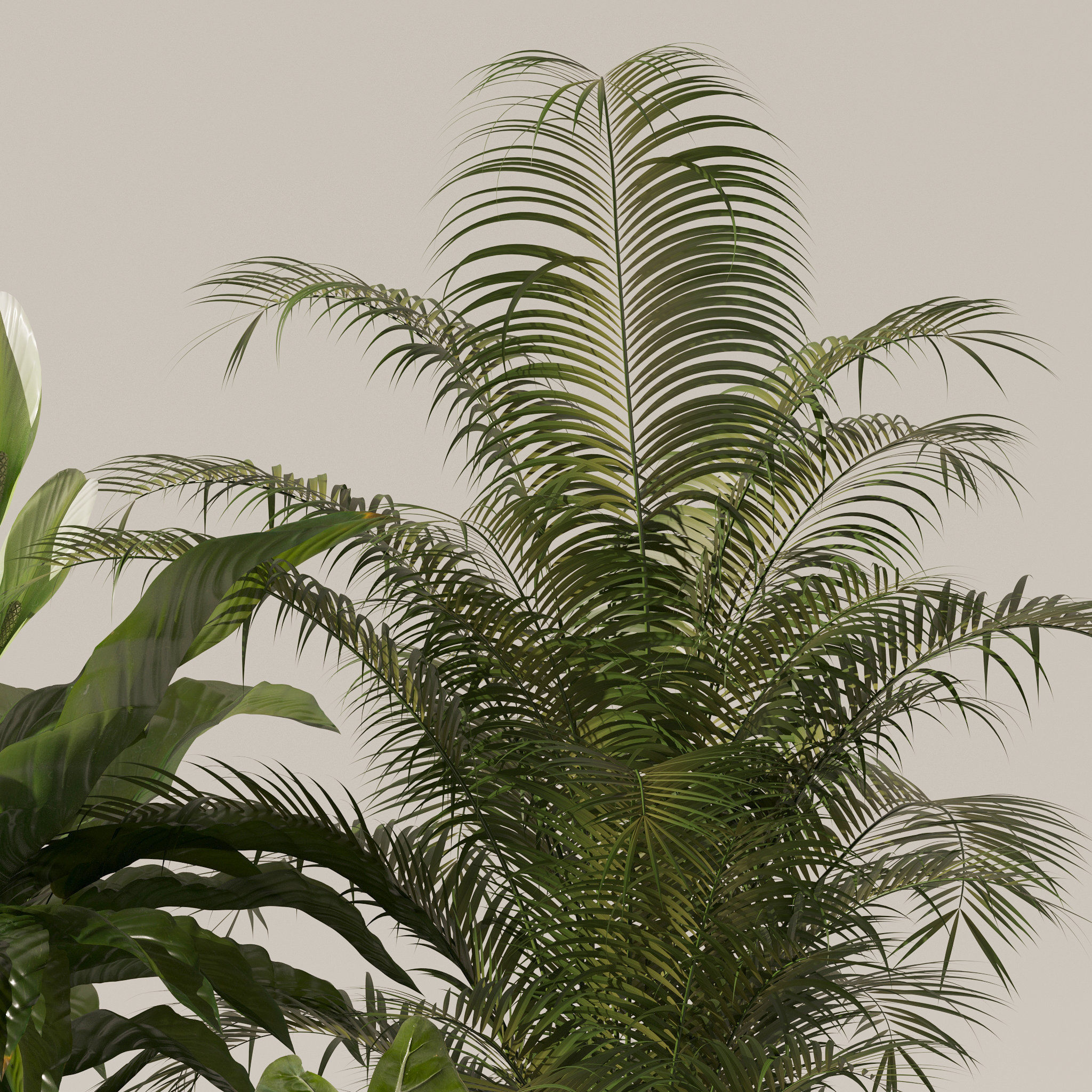 20 Photorealistic Flowers for Interiors - set 120 123 136 140 3D Model Collection_41