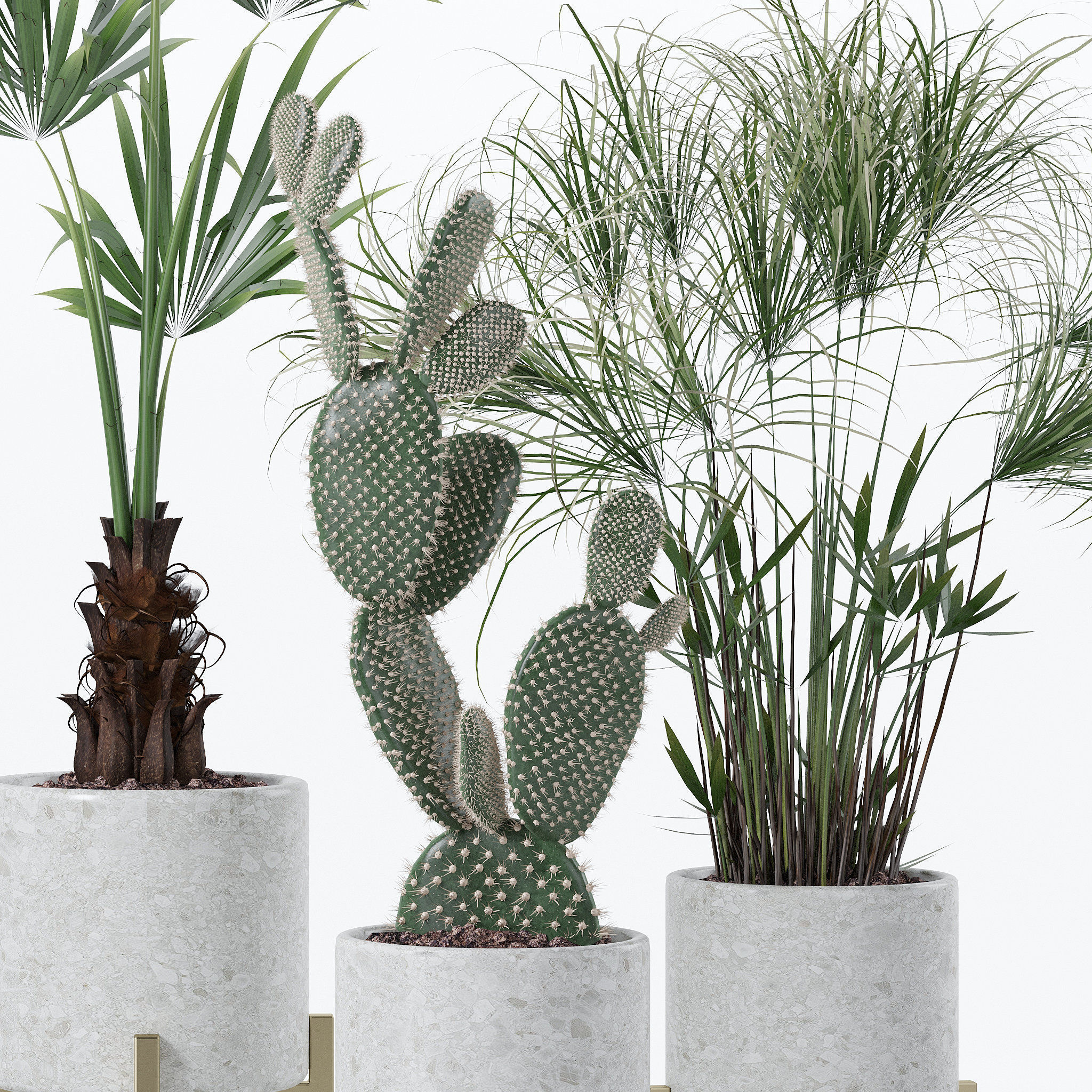 20 Photorealistic Flowers for Interiors - set 120 123 136 140 3D Model Collection_13