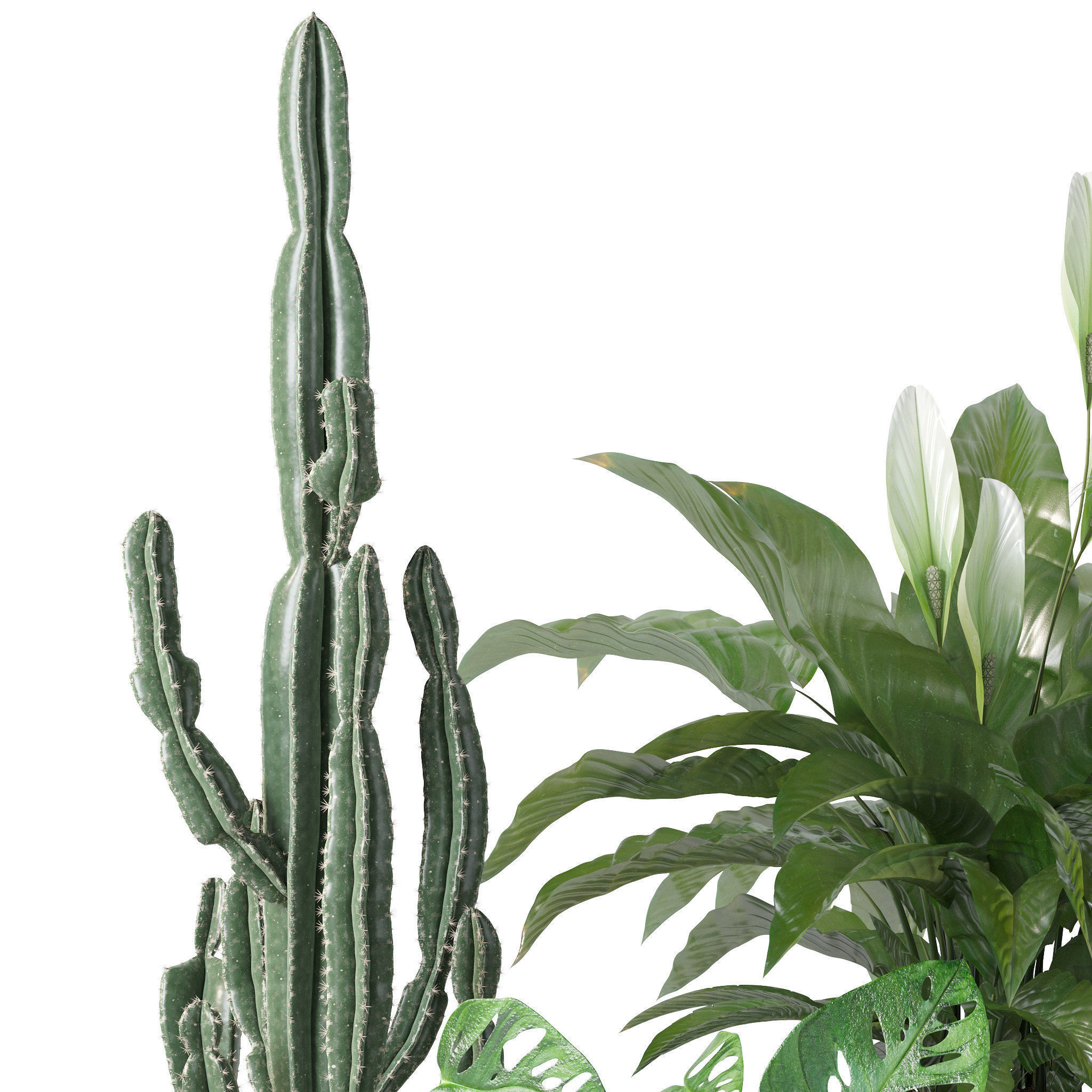 20 Photorealistic Flowers for Interiors - set 120 123 136 140 3D Model Collection_31