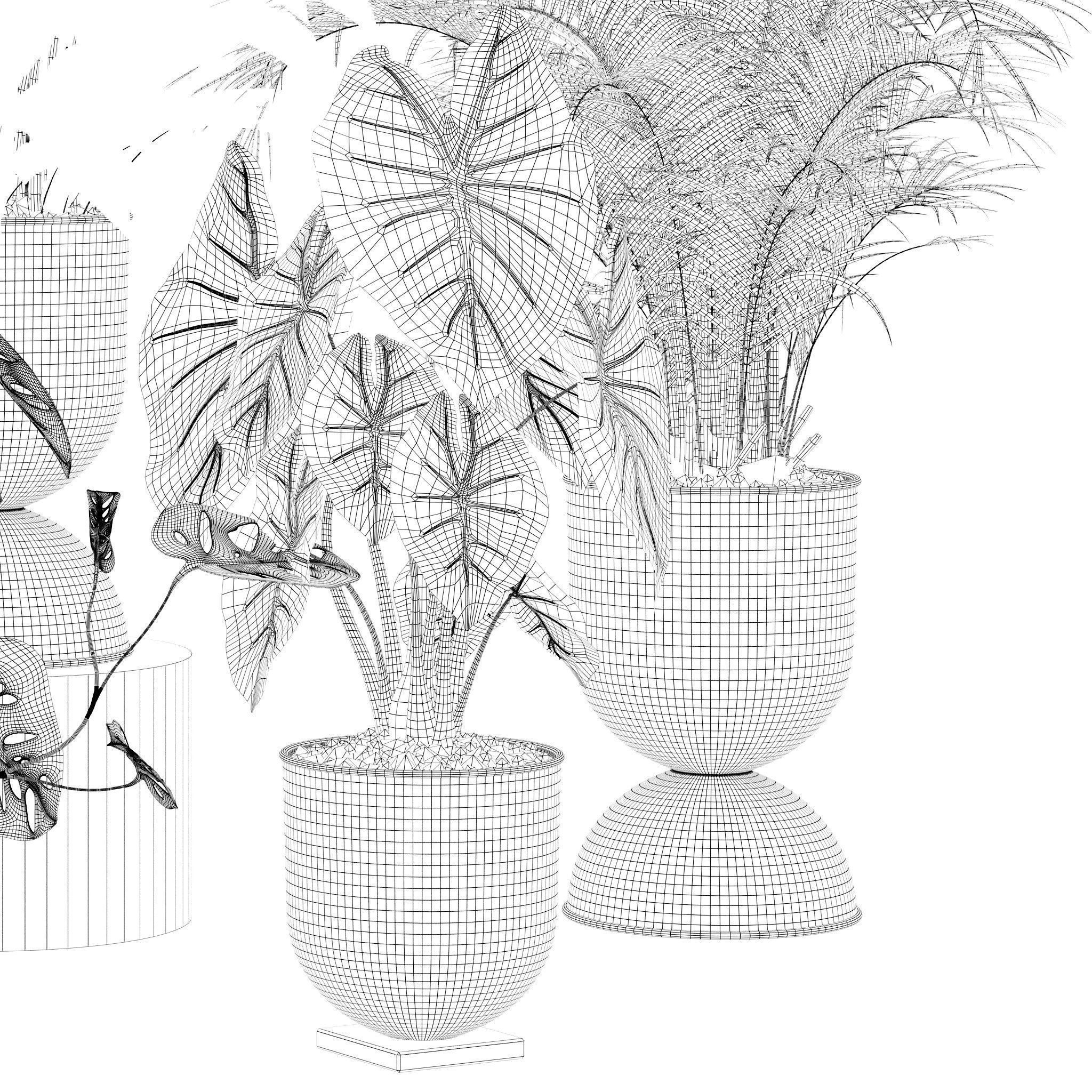 20 Photorealistic Flowers for Interiors - set 120 123 136 140 3D Model Collection_40