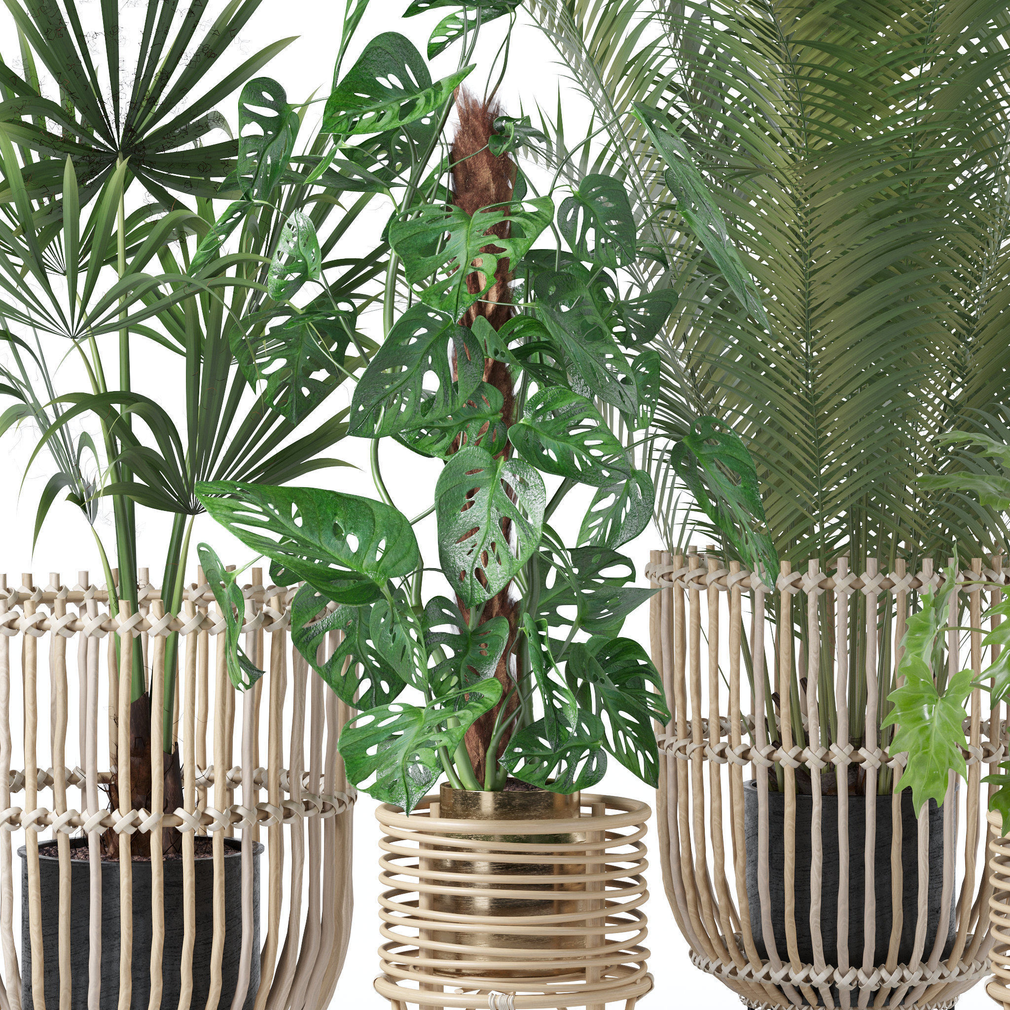 20 Photorealistic Flowers for Interiors - set 120 123 136 140 3D Model Collection_28