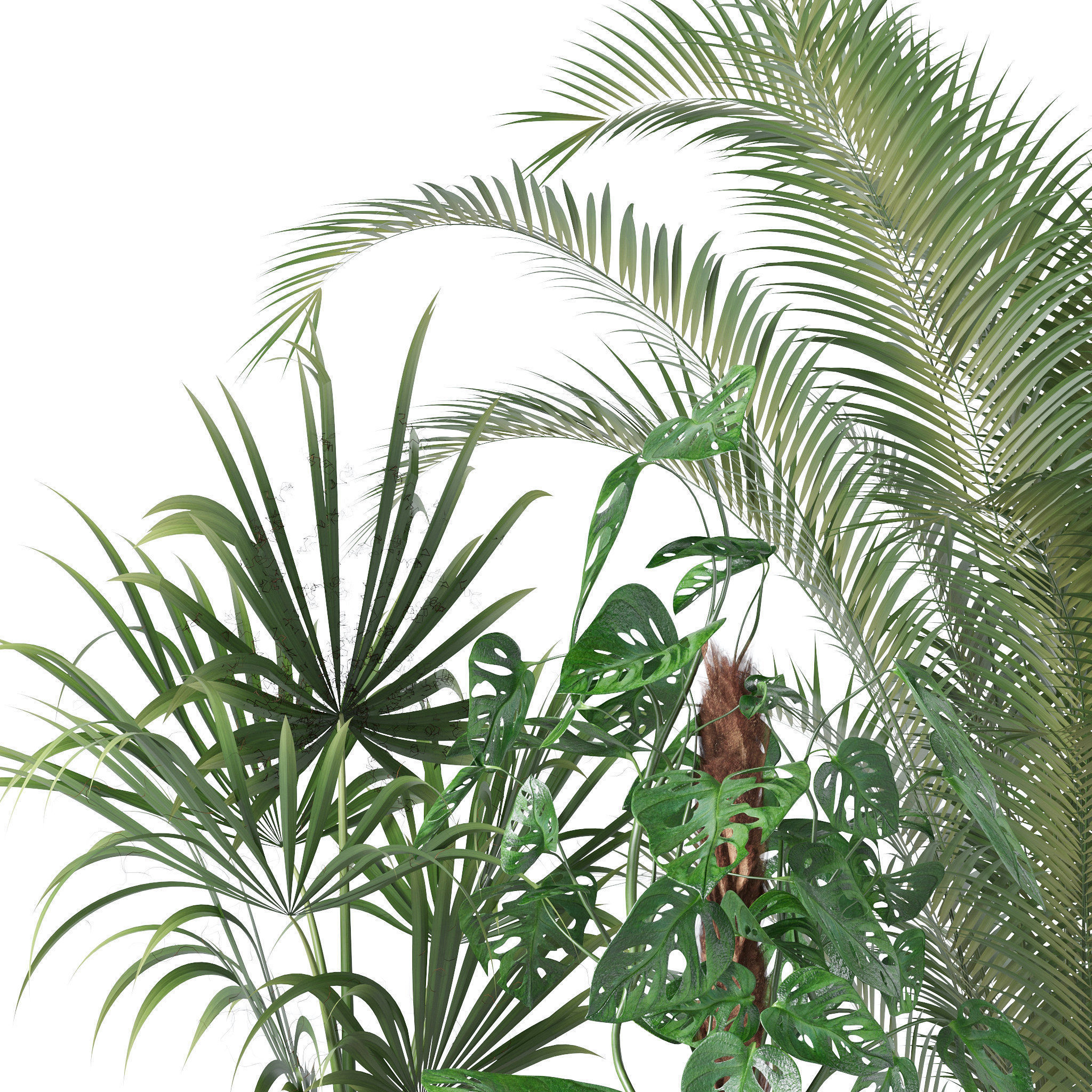 20 Photorealistic Flowers for Interiors - set 120 123 136 140 3D Model Collection_18