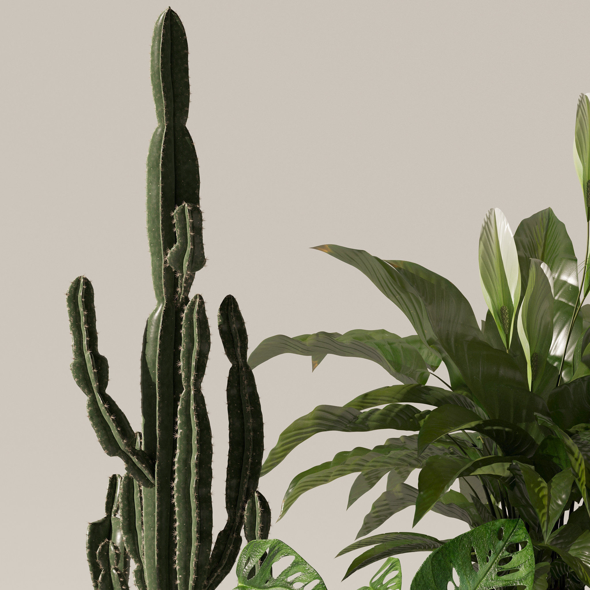 20 Photorealistic Flowers for Interiors - set 120 123 136 140 3D Model Collection_37