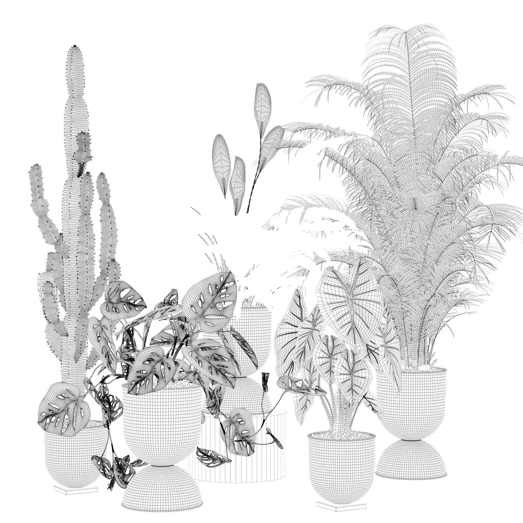 20 Photorealistic Flowers for Interiors - set 120 123 136 140 3D Model Collection_39