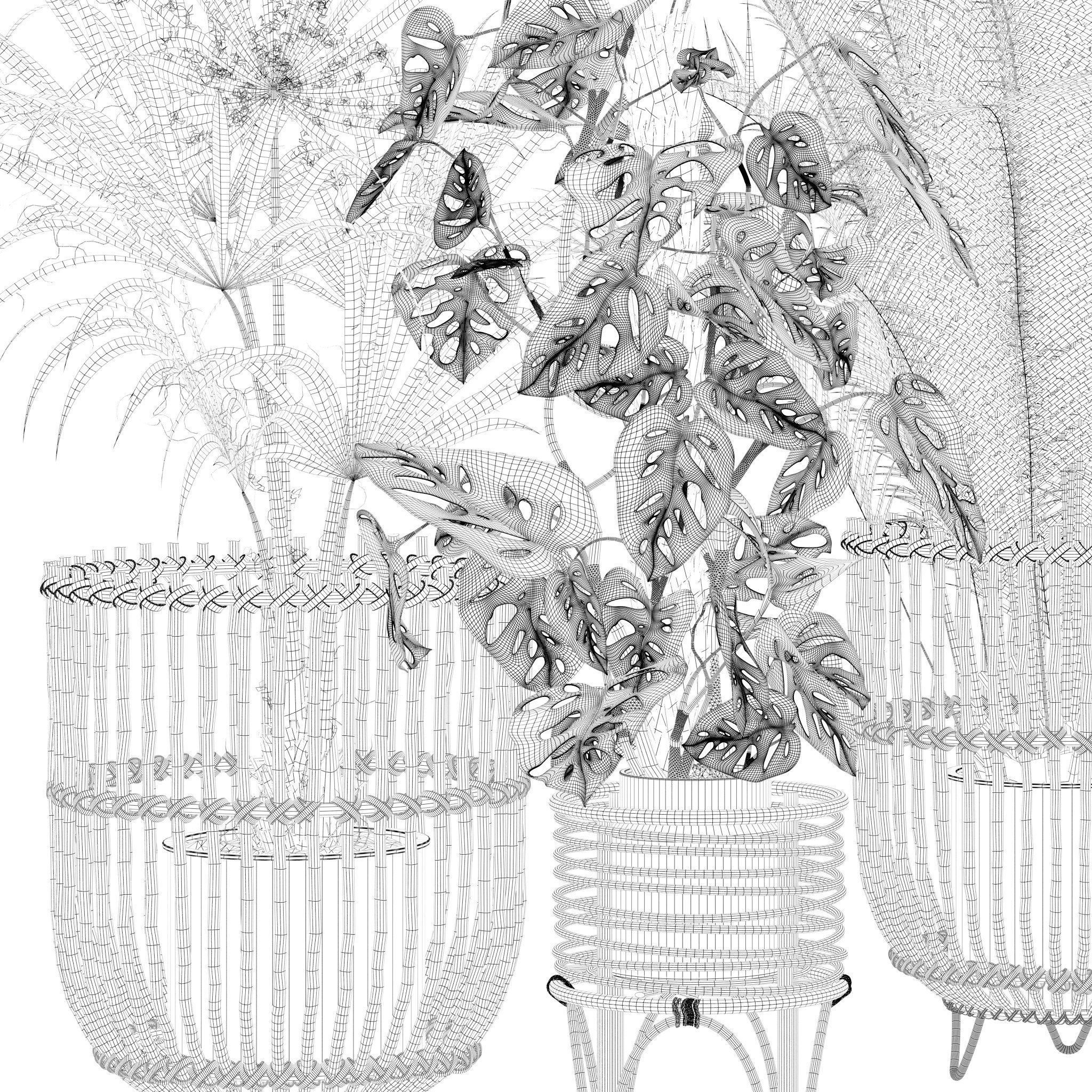 20 Photorealistic Flowers for Interiors - set 120 123 136 140 3D Model Collection_23