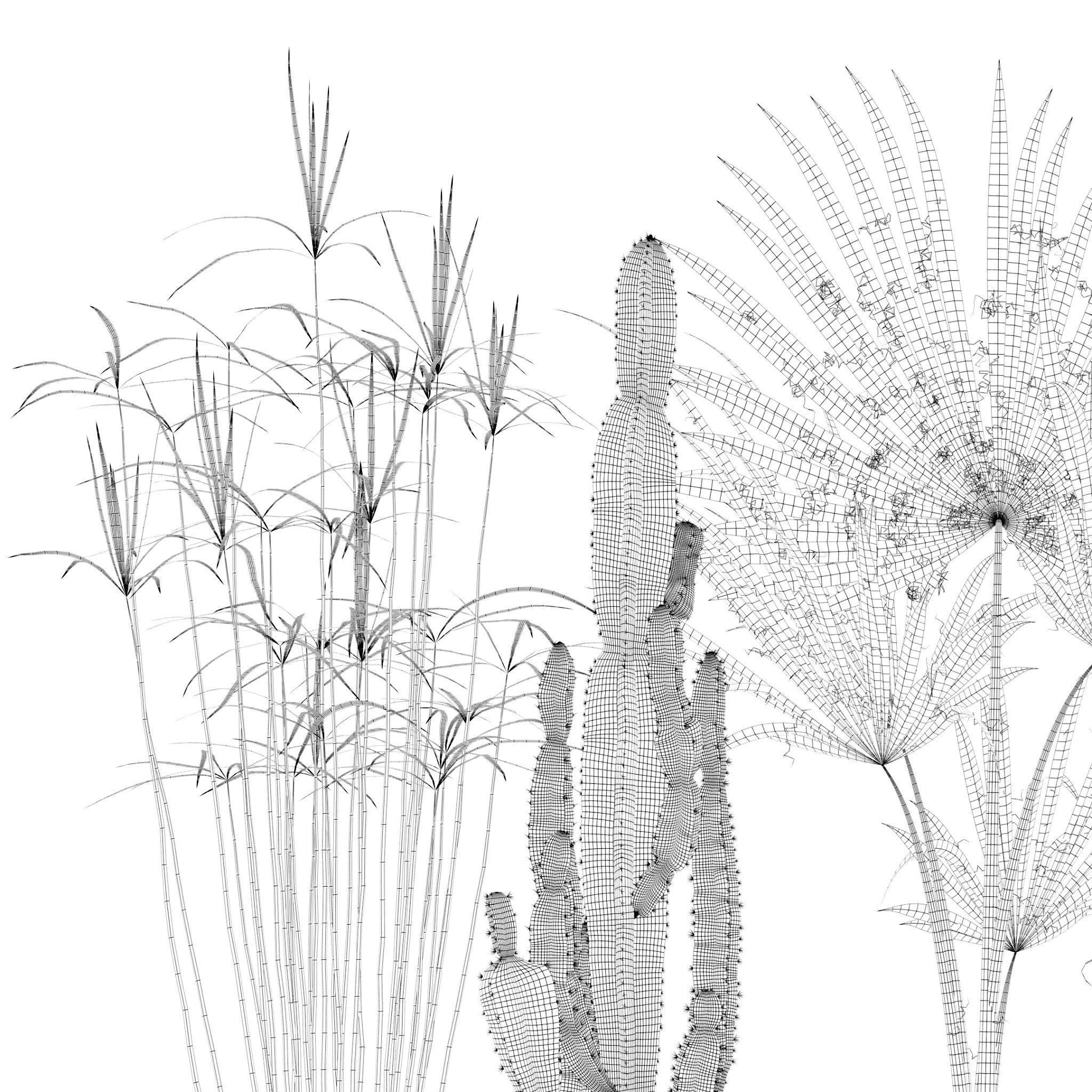 20 Photorealistic Flowers for Interiors - set 120 123 136 140 3D Model Collection_15