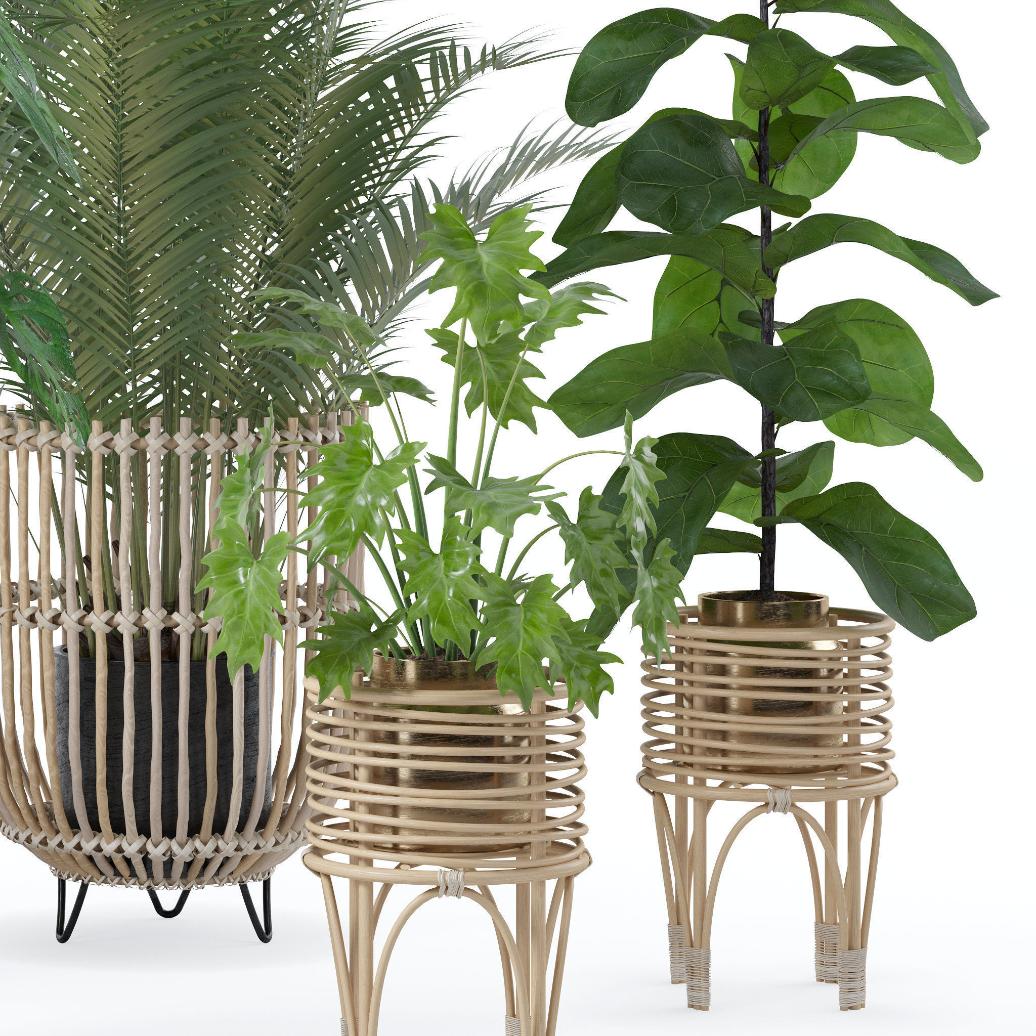 20 Photorealistic Flowers for Interiors - set 120 123 136 140 3D Model Collection_24