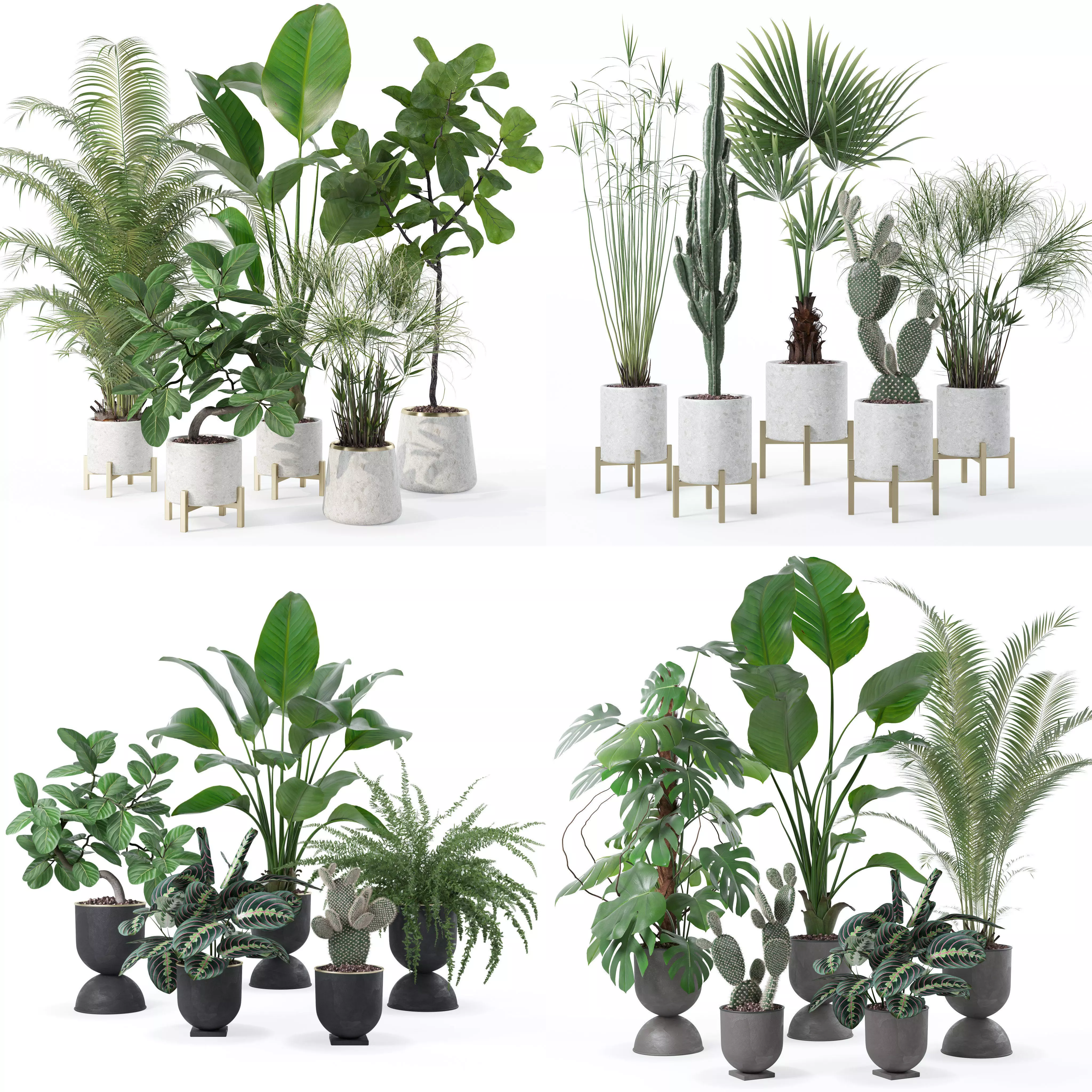 20 Photorealistic Flowers for Interiors - set 120 123 136 140 3D Model Collection_0