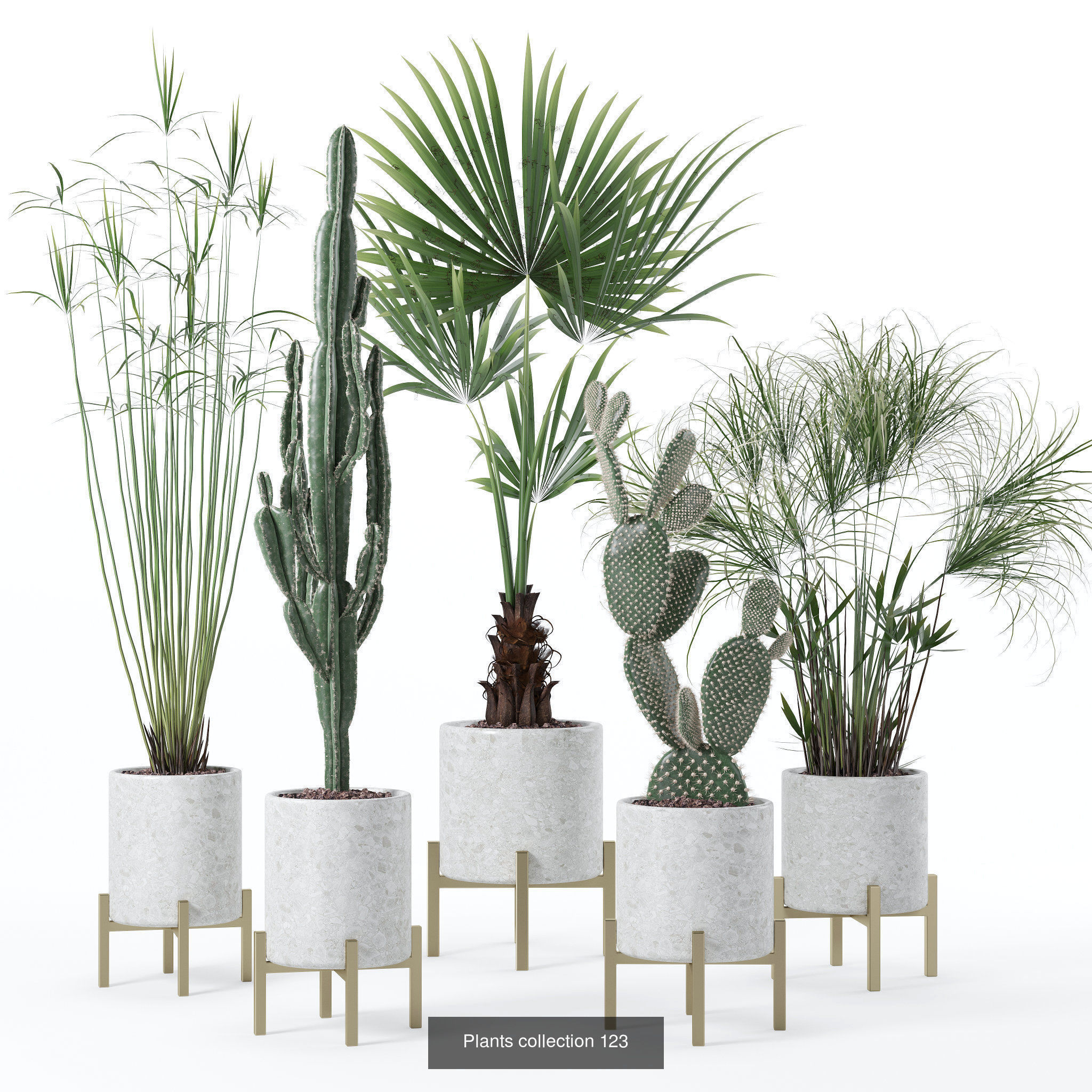 20 Photorealistic Flowers for Interiors - set 120 123 136 140 3D Model Collection_2