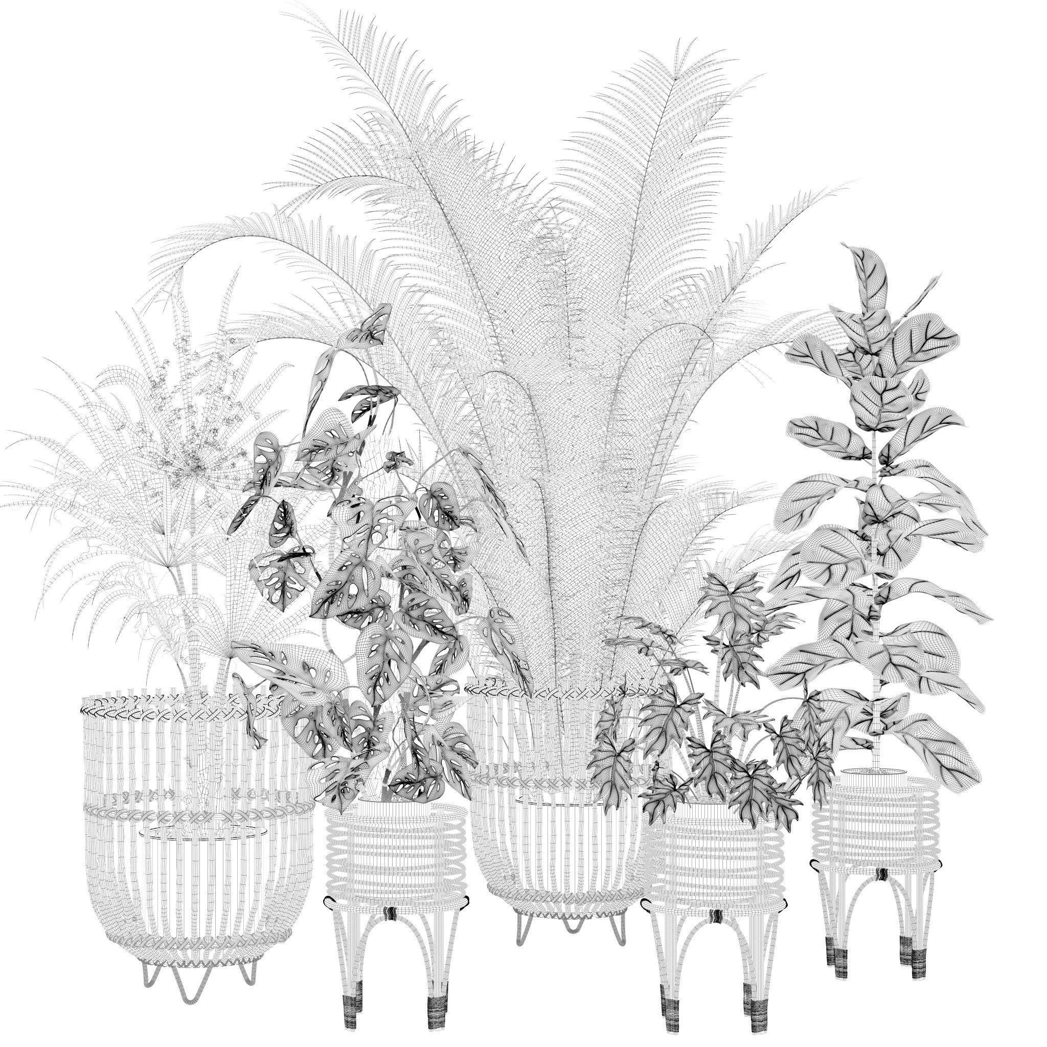 20 Photorealistic Flowers for Interiors - set 120 123 136 140 3D Model Collection_19