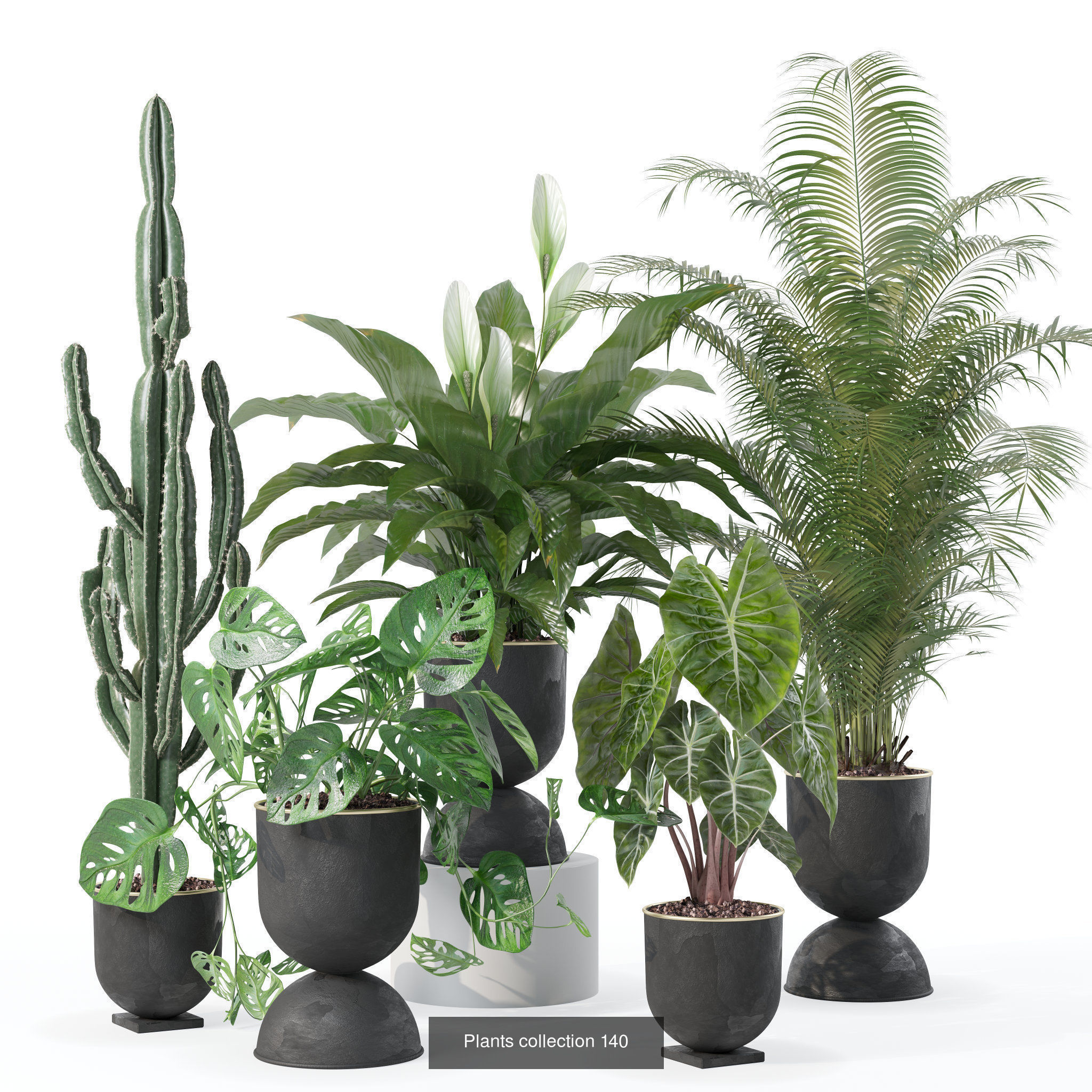 20 Photorealistic Flowers for Interiors - set 120 123 136 140 3D Model Collection_4