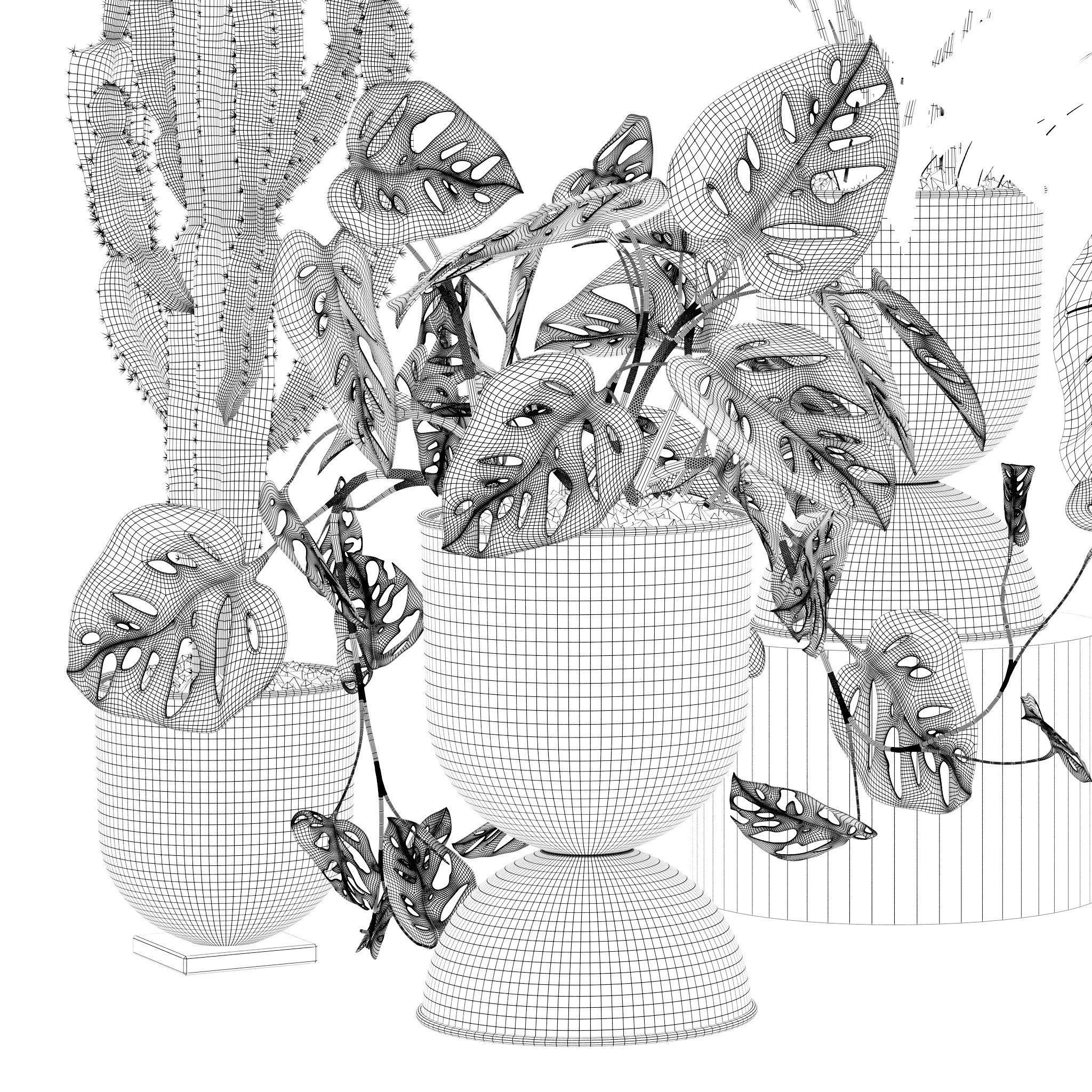 20 Photorealistic Flowers for Interiors - set 120 123 136 140 3D Model Collection_43