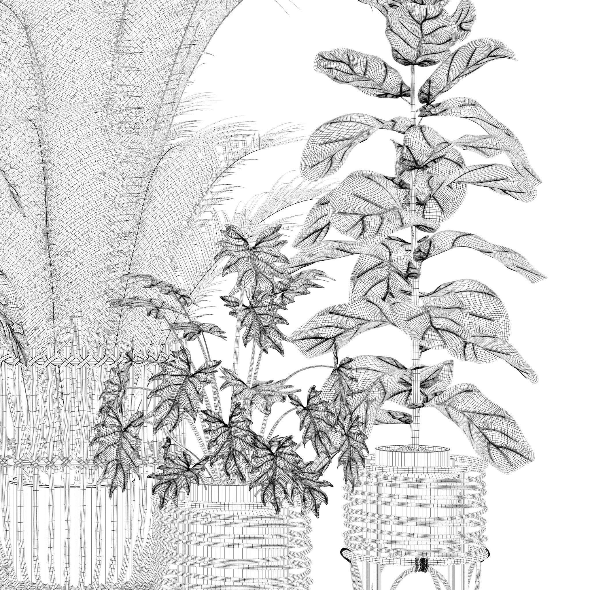 20 Photorealistic Flowers for Interiors - set 120 123 136 140 3D Model Collection_25