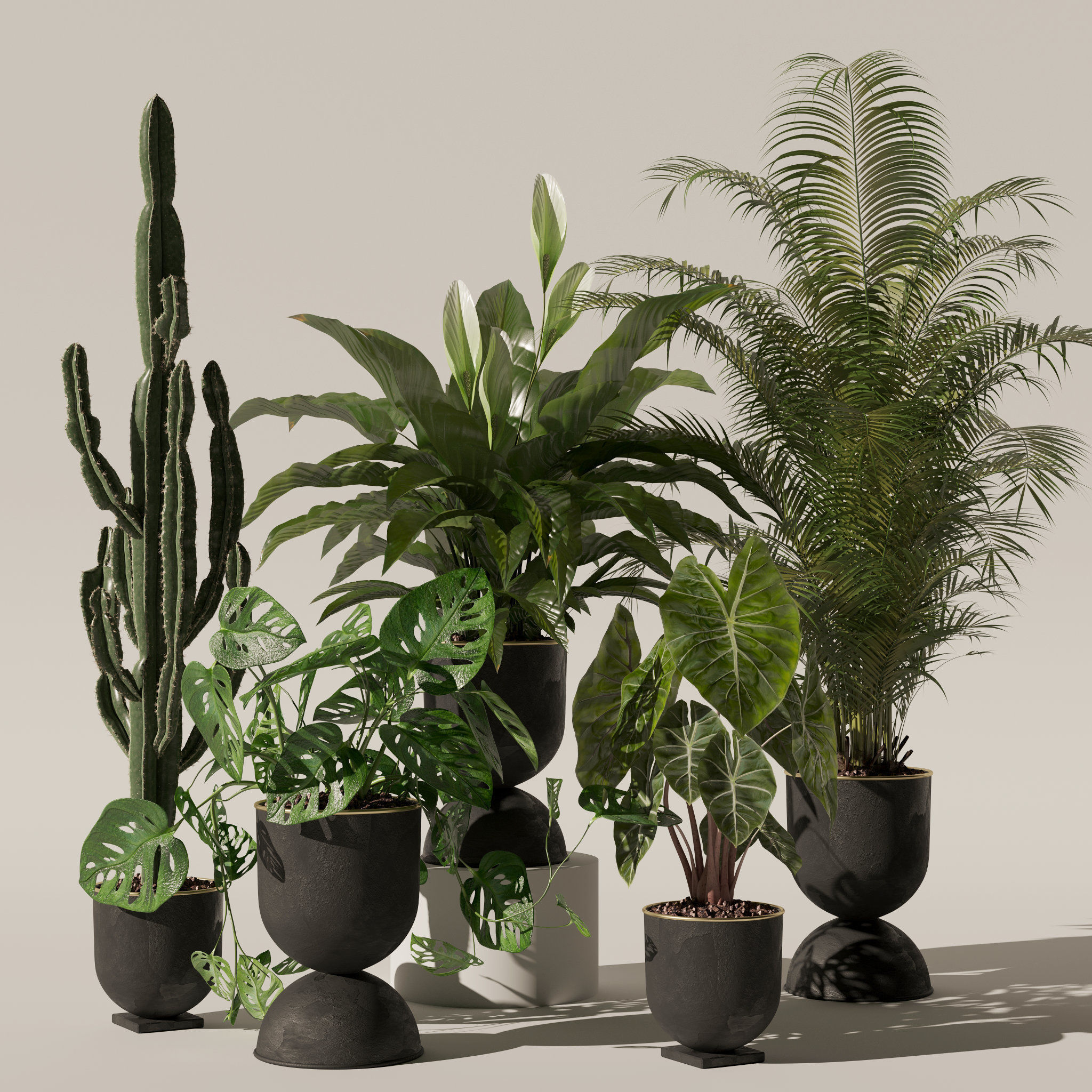 20 Photorealistic Flowers for Interiors - set 120 123 136 140 3D Model Collection_38