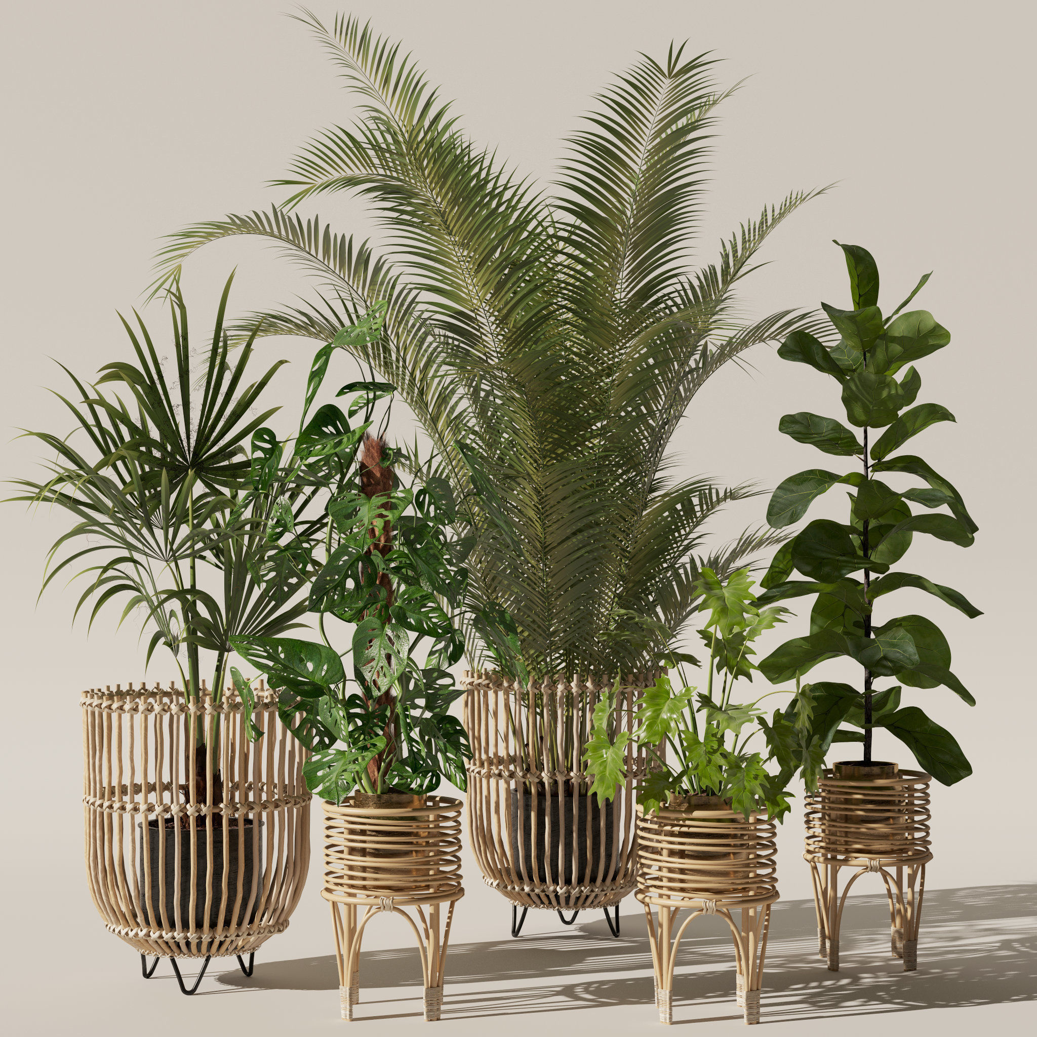 20 Photorealistic Flowers for Interiors - set 120 123 136 140 3D Model Collection_21