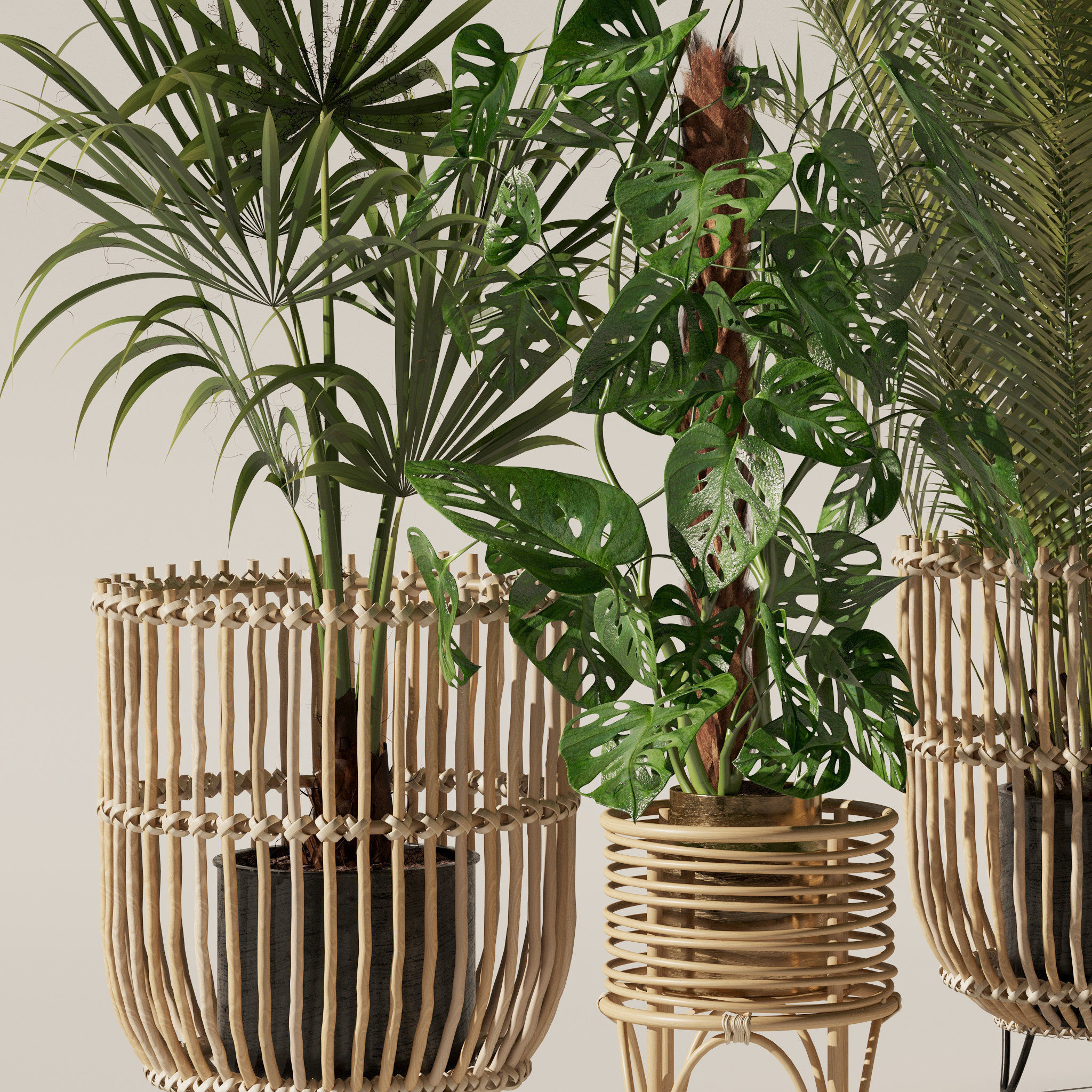 20 Photorealistic Flowers for Interiors - set 120 123 136 140 3D Model Collection_30