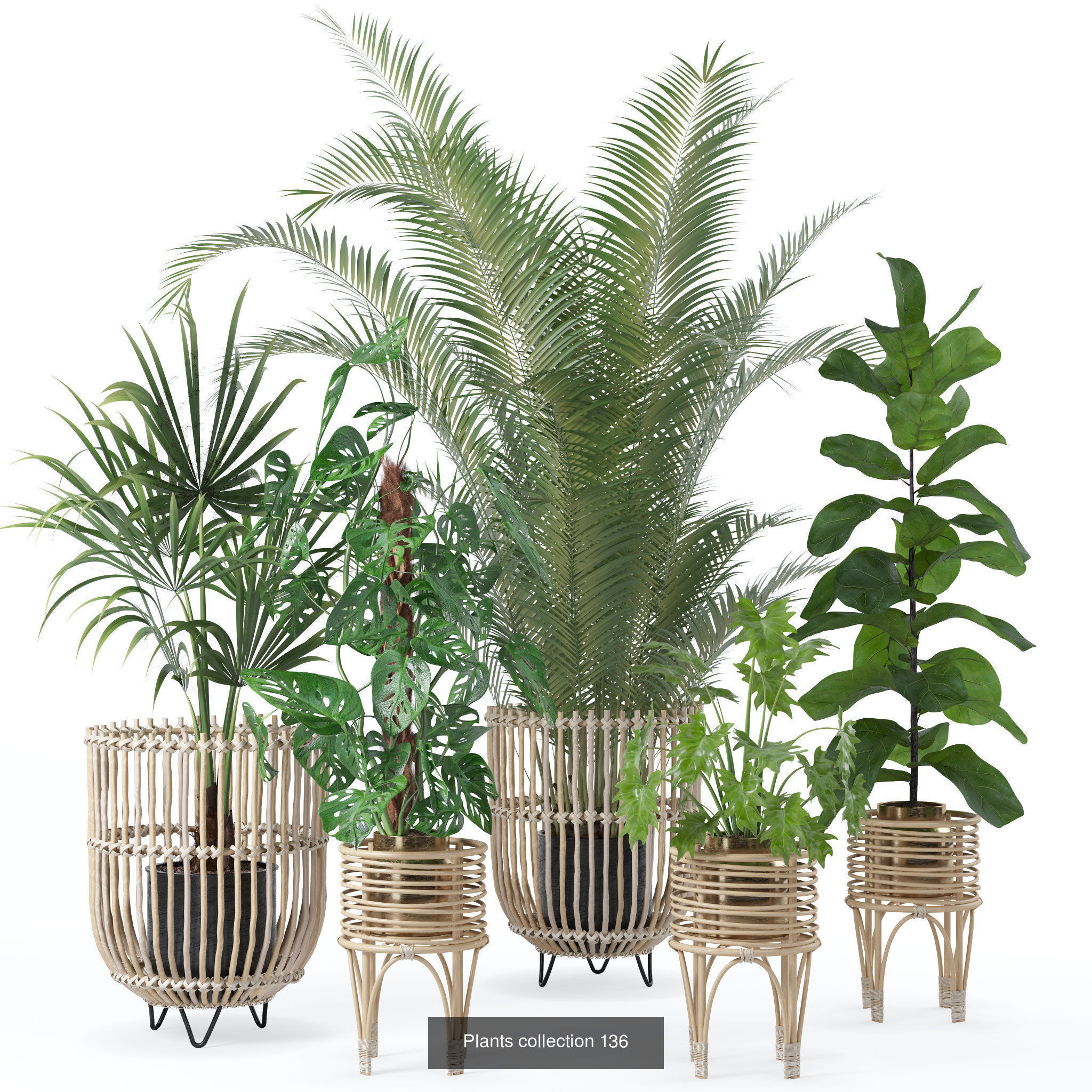 20 Photorealistic Flowers for Interiors - set 120 123 136 140 3D Model Collection_3