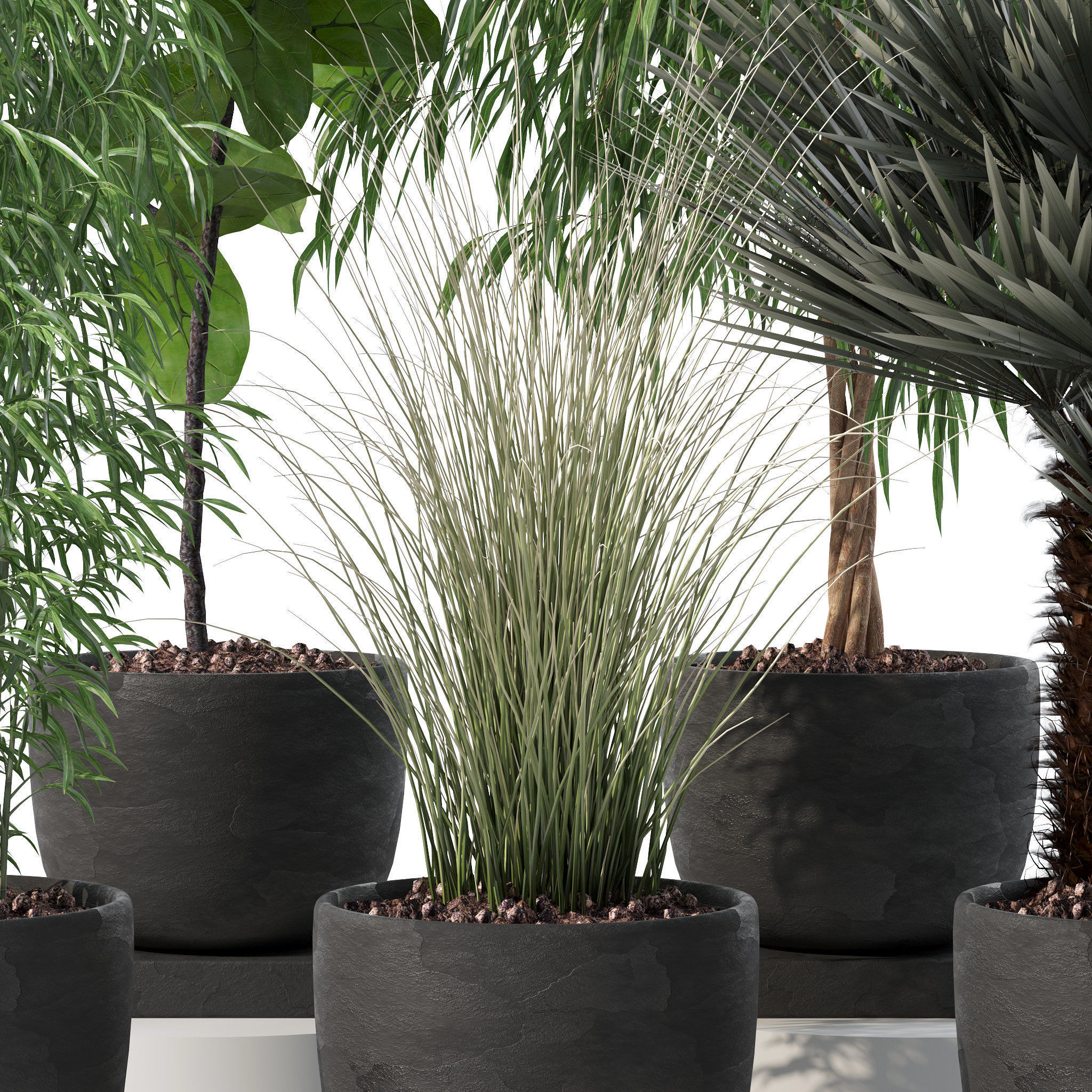 20 Photorealistic Flowers for Interiors - set 120 123 137 142 3D Model Collection_35