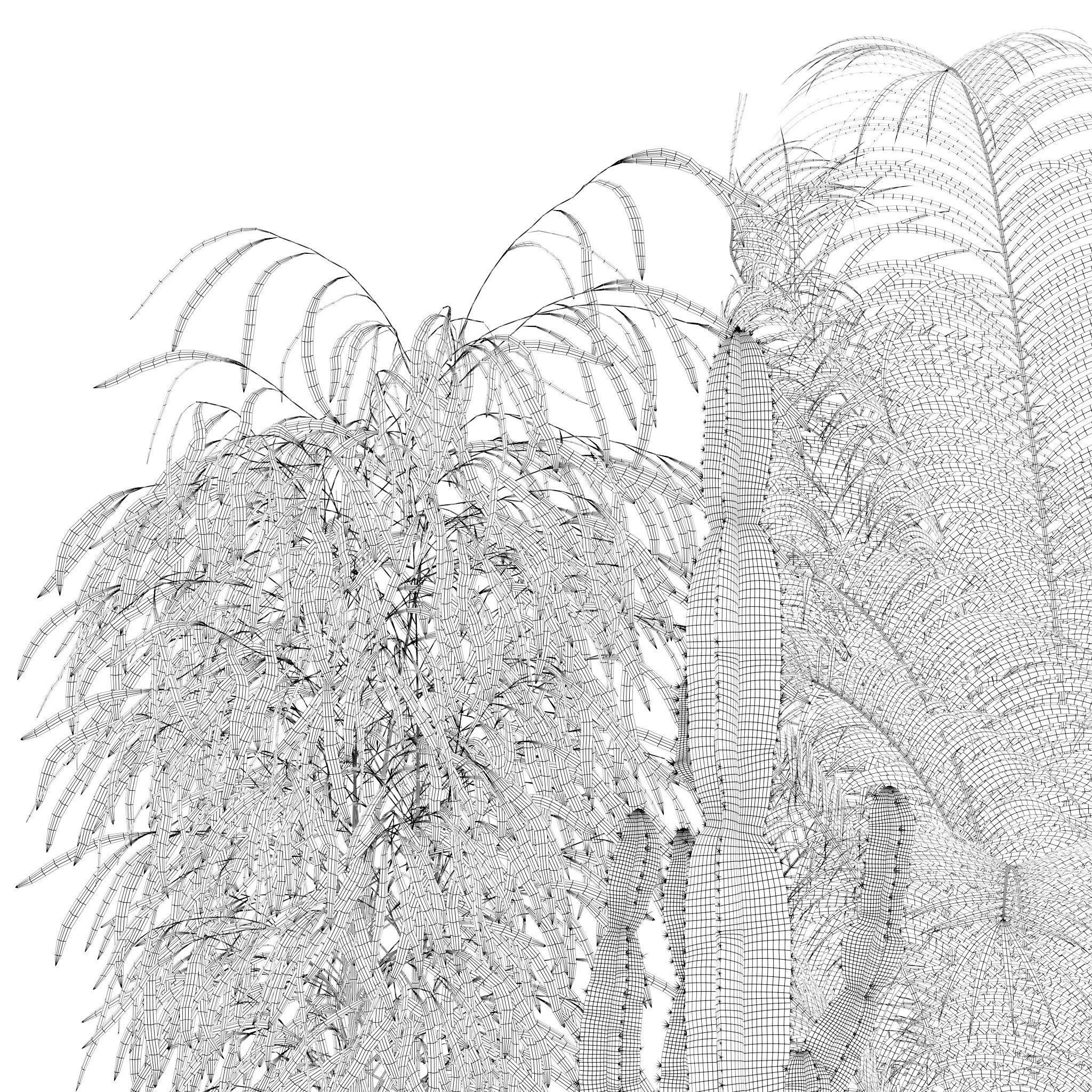 20 Photorealistic Flowers for Interiors - set 120 123 137 142 3D Model Collection_24