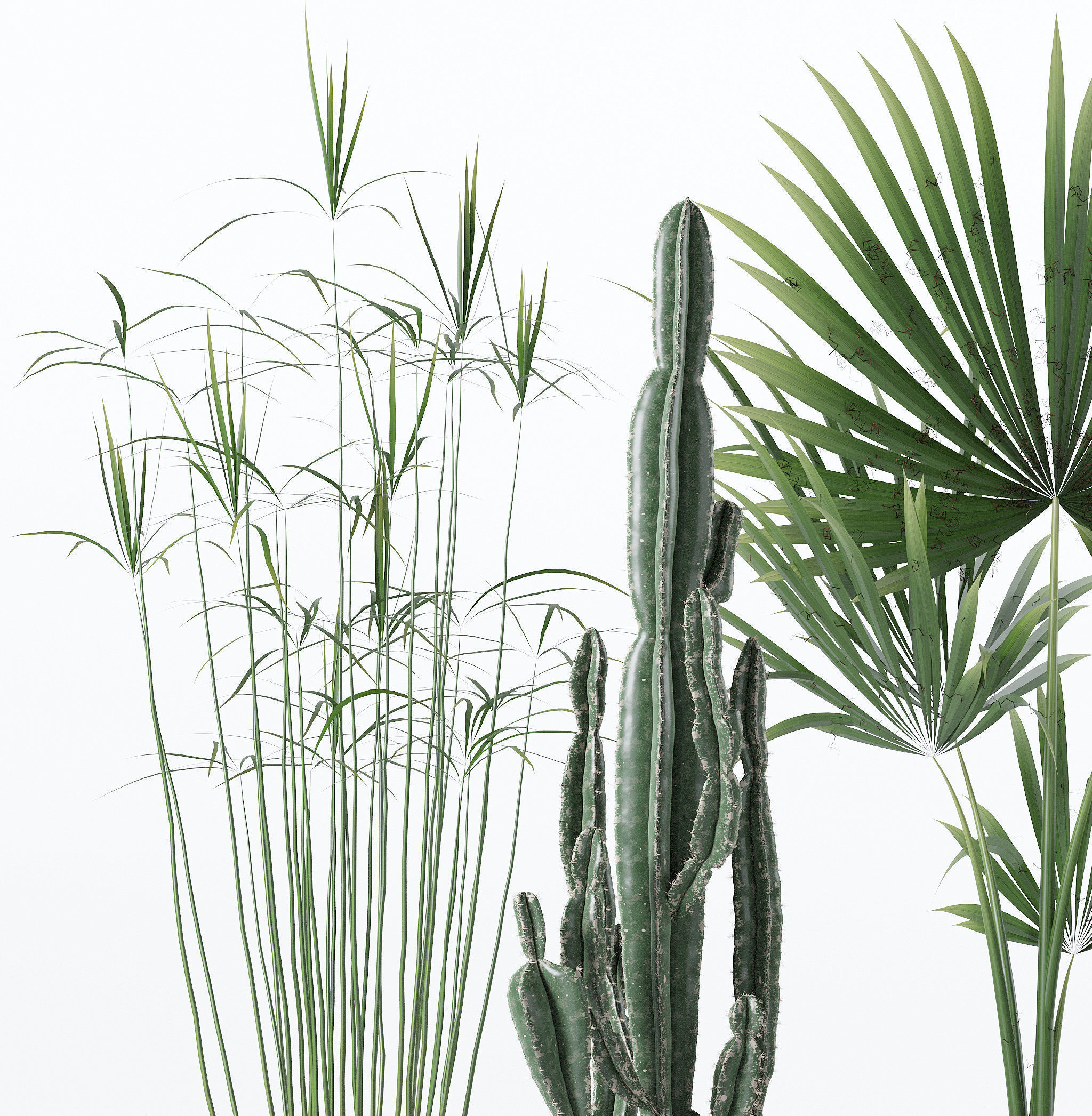 20 Photorealistic Flowers for Interiors - set 120 123 137 142 3D Model Collection_13