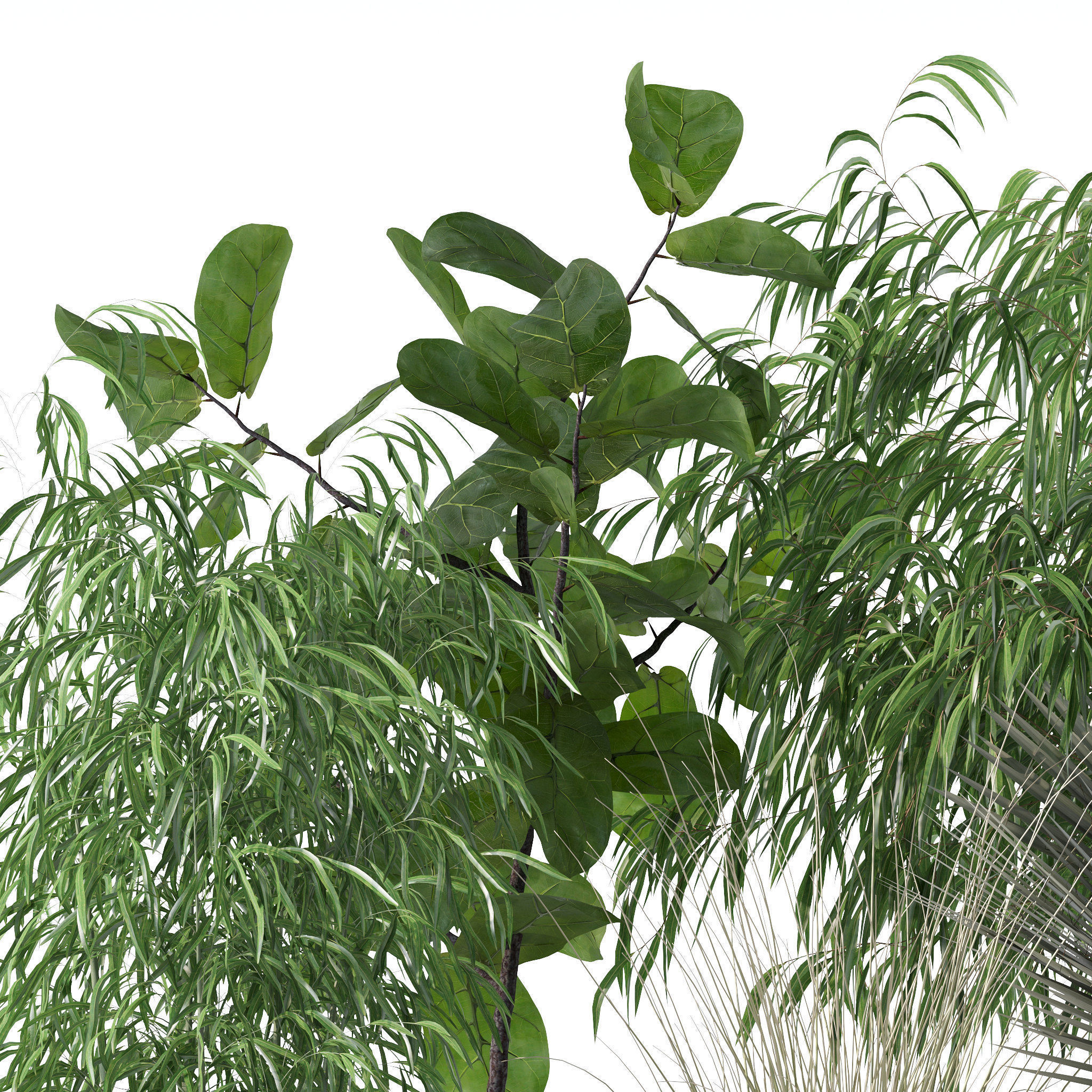 20 Photorealistic Flowers for Interiors - set 120 123 137 142 3D Model Collection_38