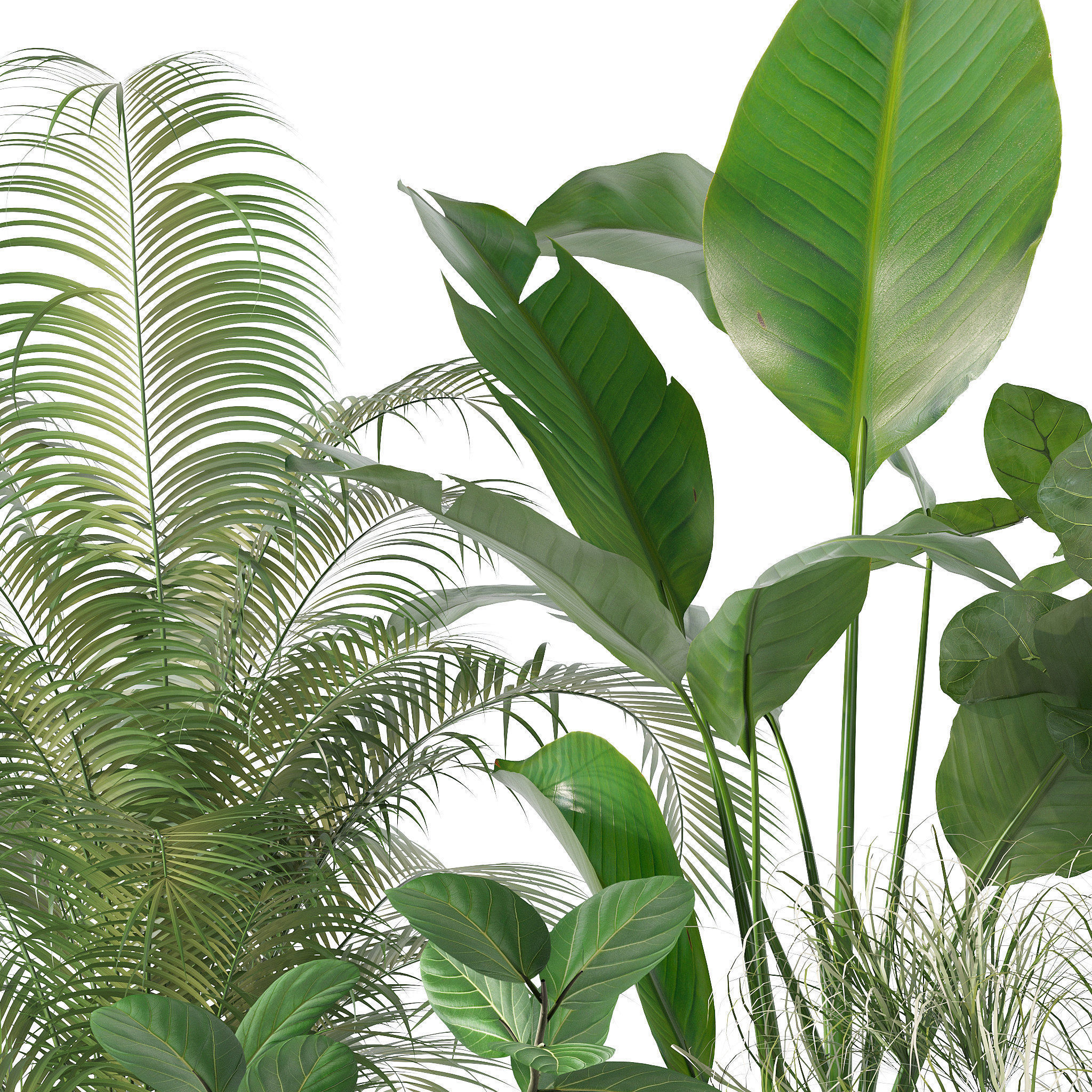 20 Photorealistic Flowers for Interiors - set 120 123 137 142 3D Model Collection_8