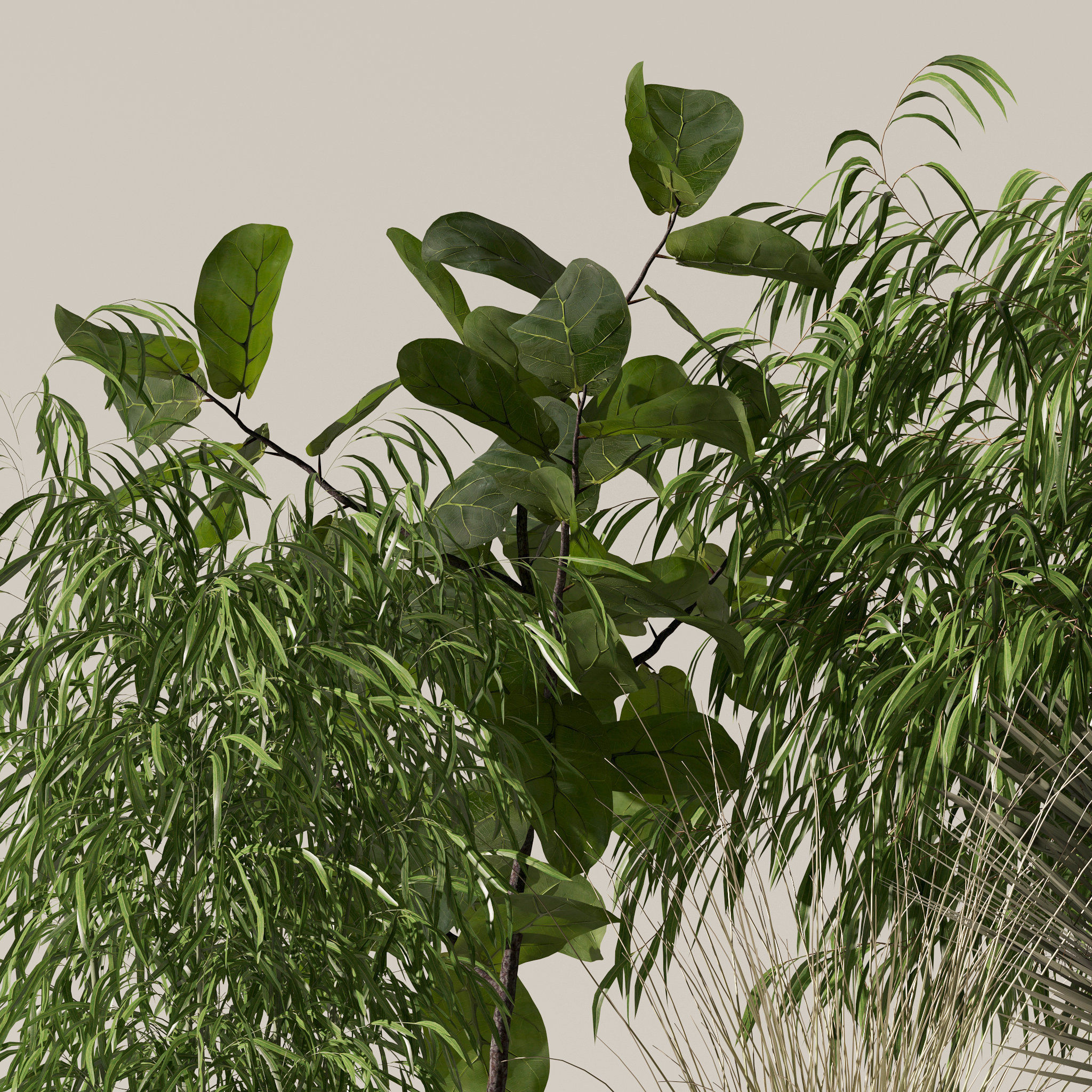 20 Photorealistic Flowers for Interiors - set 120 123 137 142 3D Model Collection_43