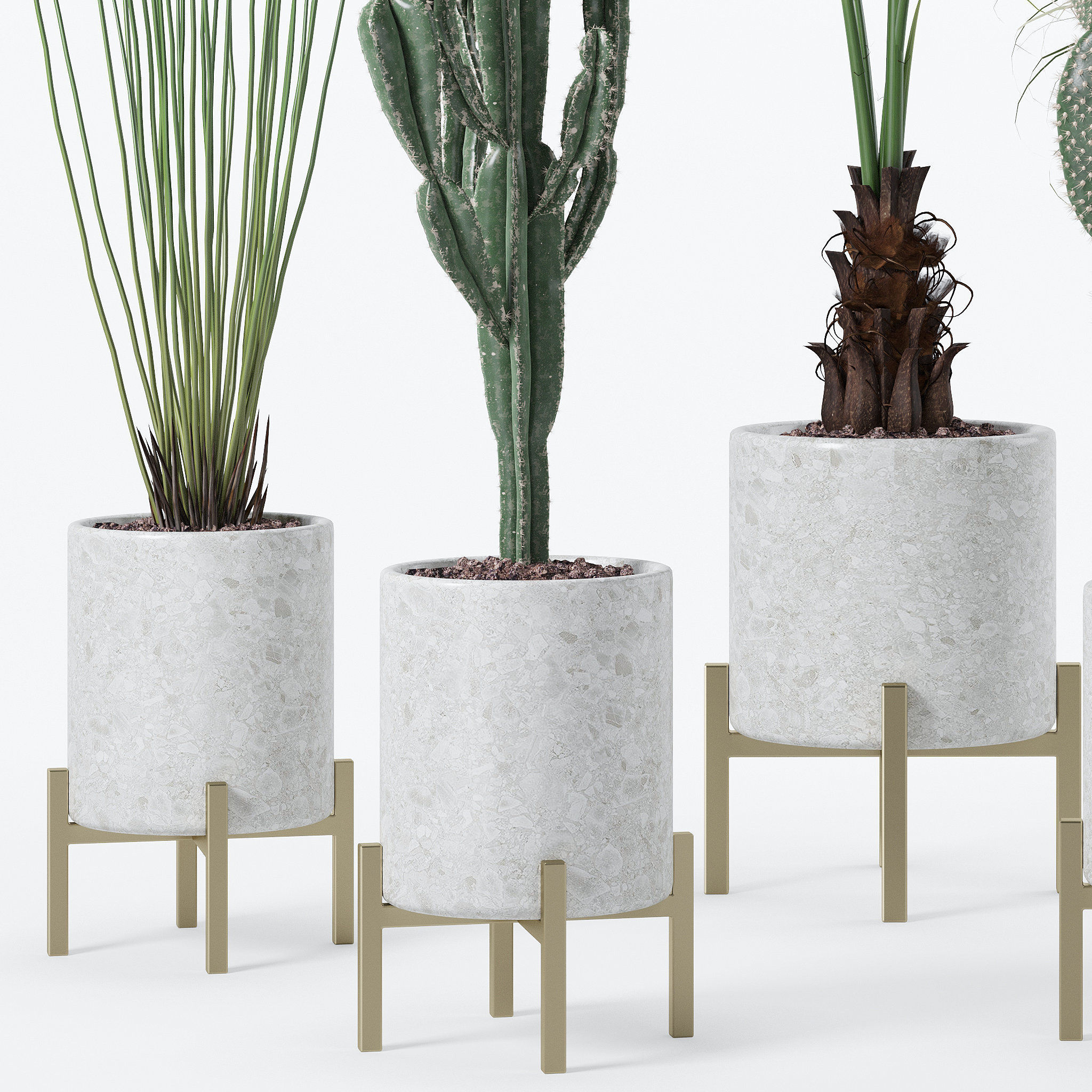 20 Photorealistic Flowers for Interiors - set 120 123 137 142 3D Model Collection_12