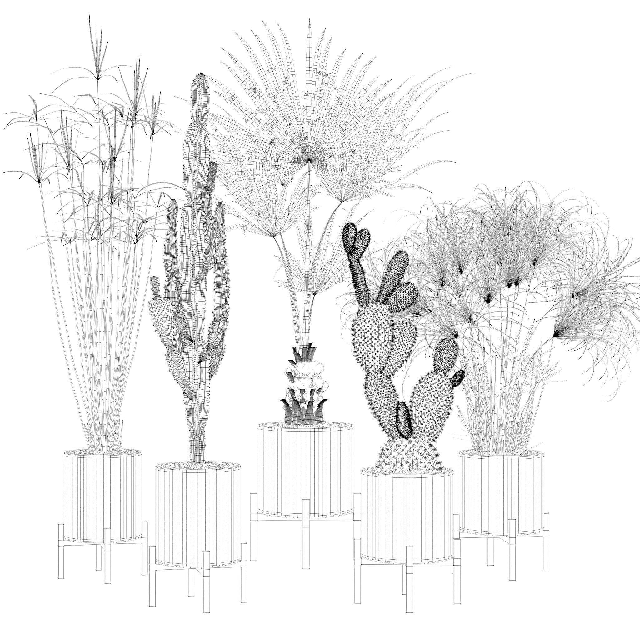 20 Photorealistic Flowers for Interiors - set 120 123 137 142 3D Model Collection_16