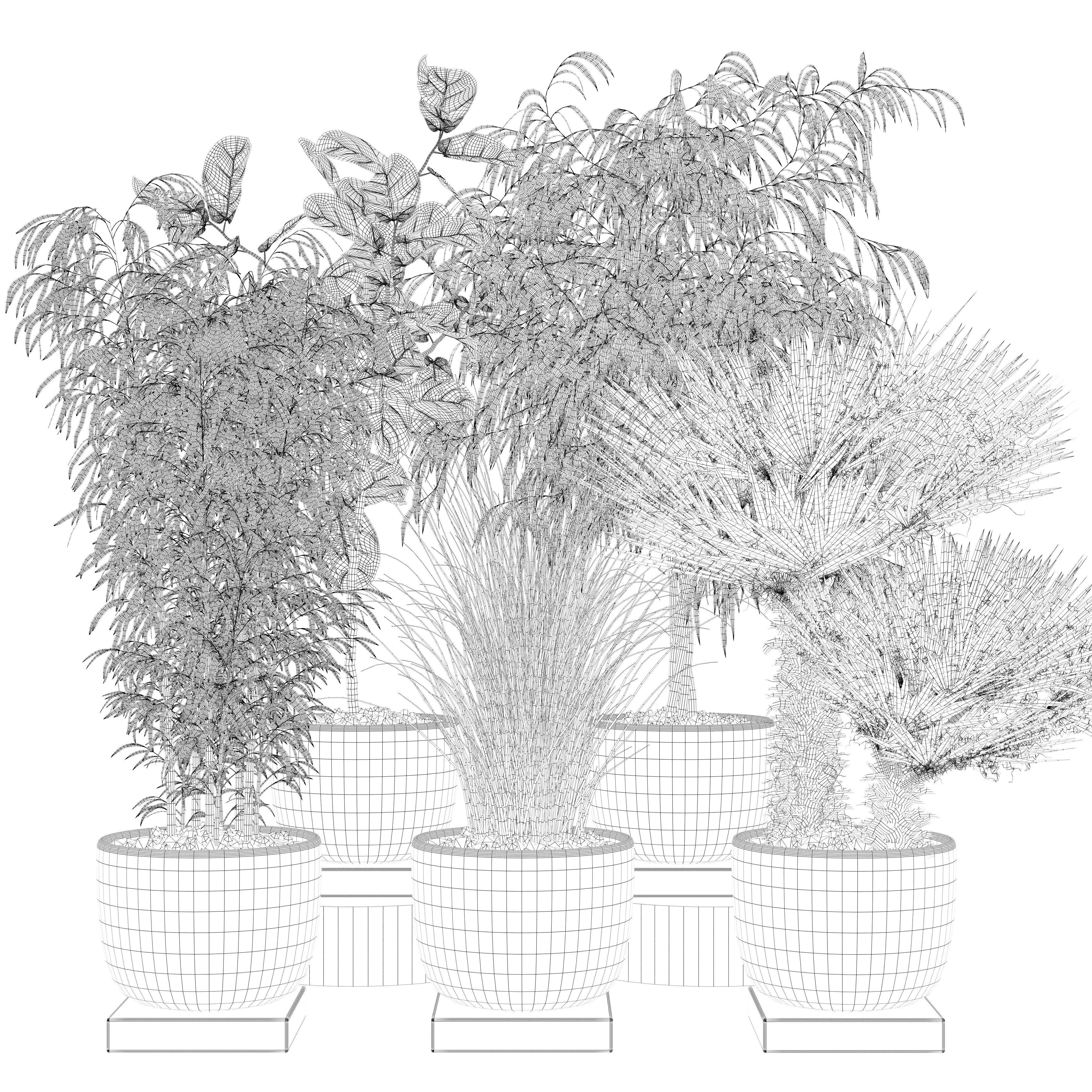 20 Photorealistic Flowers for Interiors - set 120 123 137 142 3D Model Collection_47