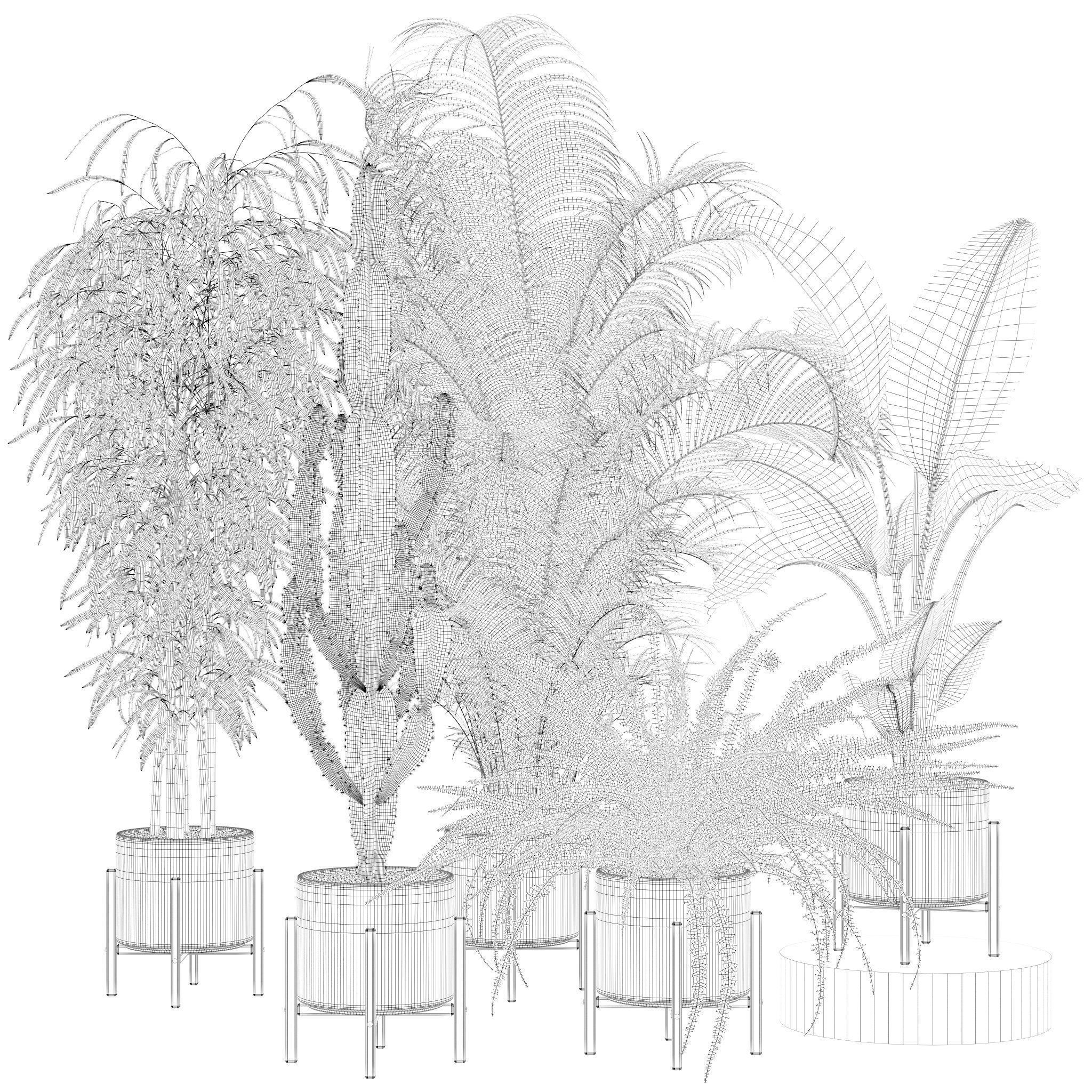 20 Photorealistic Flowers for Interiors - set 120 123 137 142 3D Model Collection_26